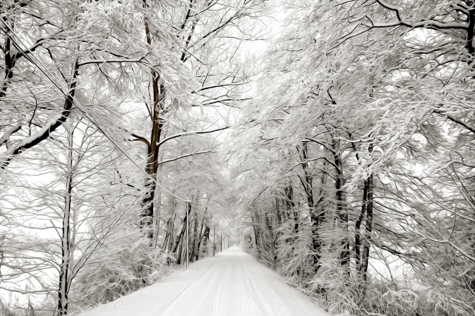 Nikon D90 sample photo. Winter, snow, tree photography