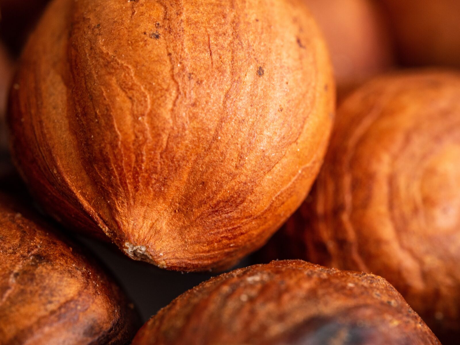 Olympus OM-D E-M10 III sample photo. Walnut, hazel, fetus photography