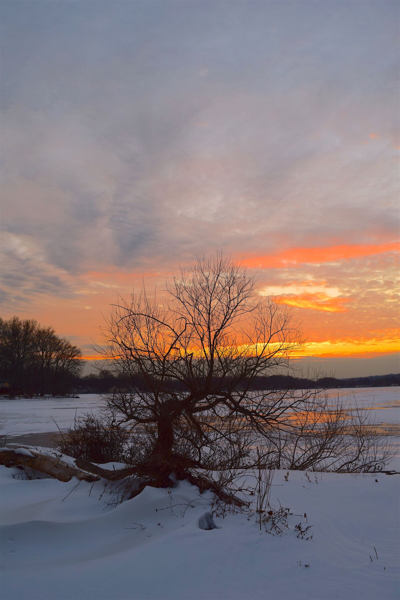 Nikon D3300 sample photo. Sunset, winter, frozen photography