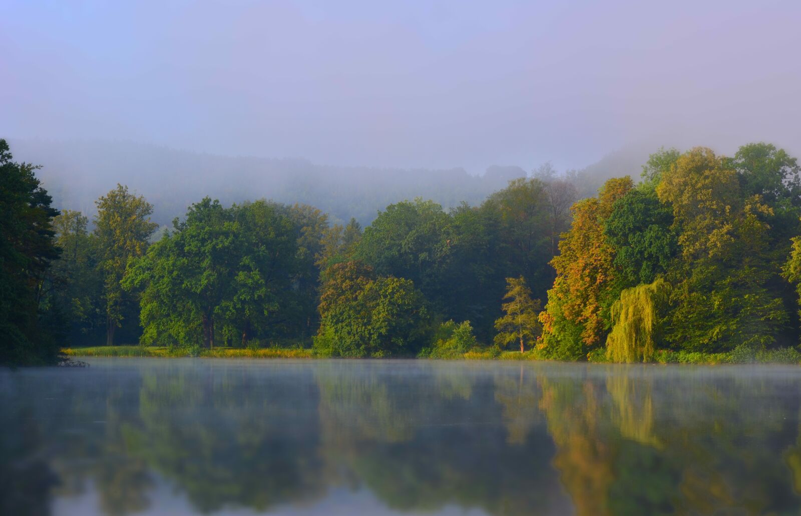 Nikon D5200 sample photo. Park lake, sunrise, fog photography