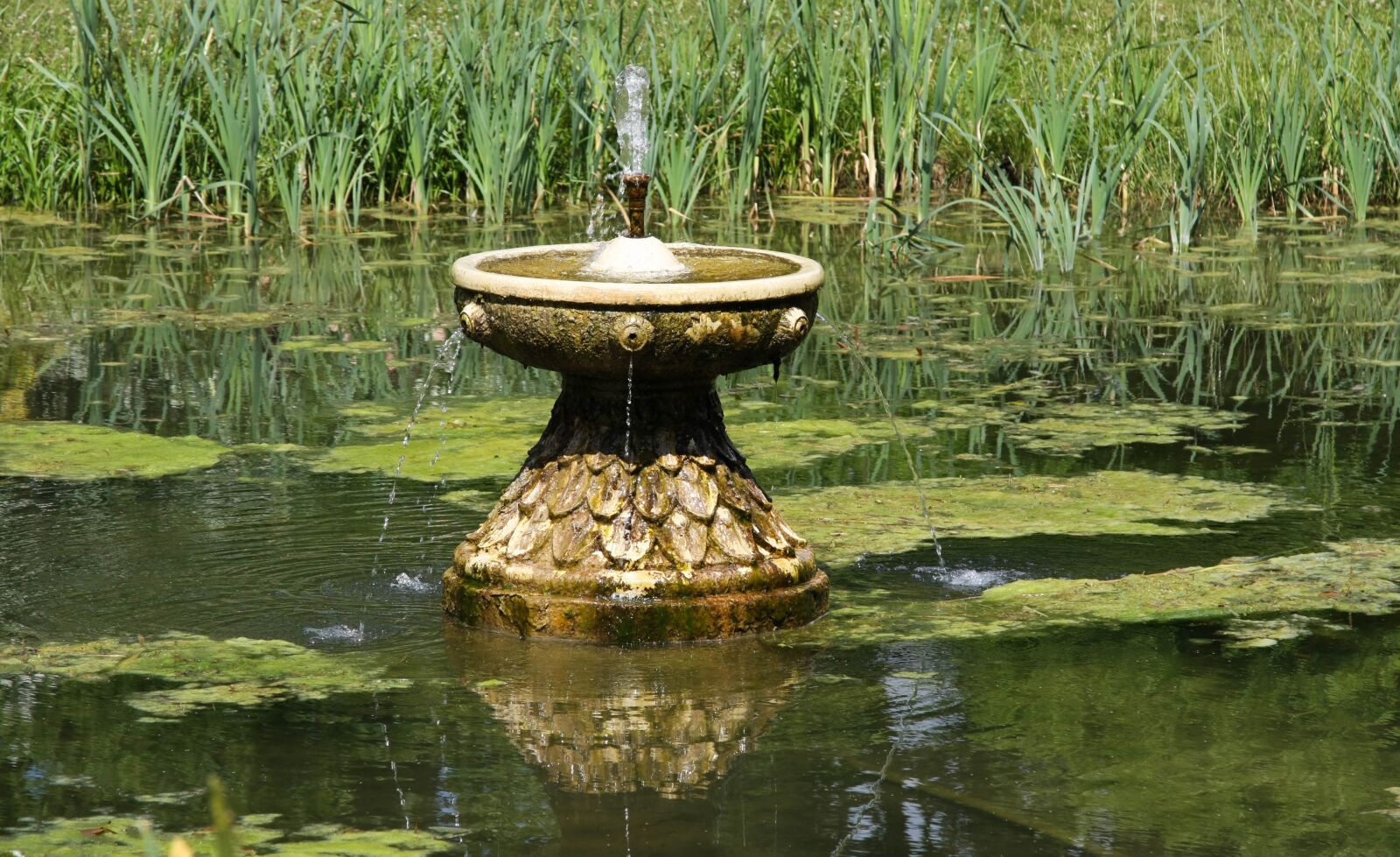 Canon EOS 40D + Canon EF 24-105mm F4L IS USM sample photo. Fountain, pond, park photography