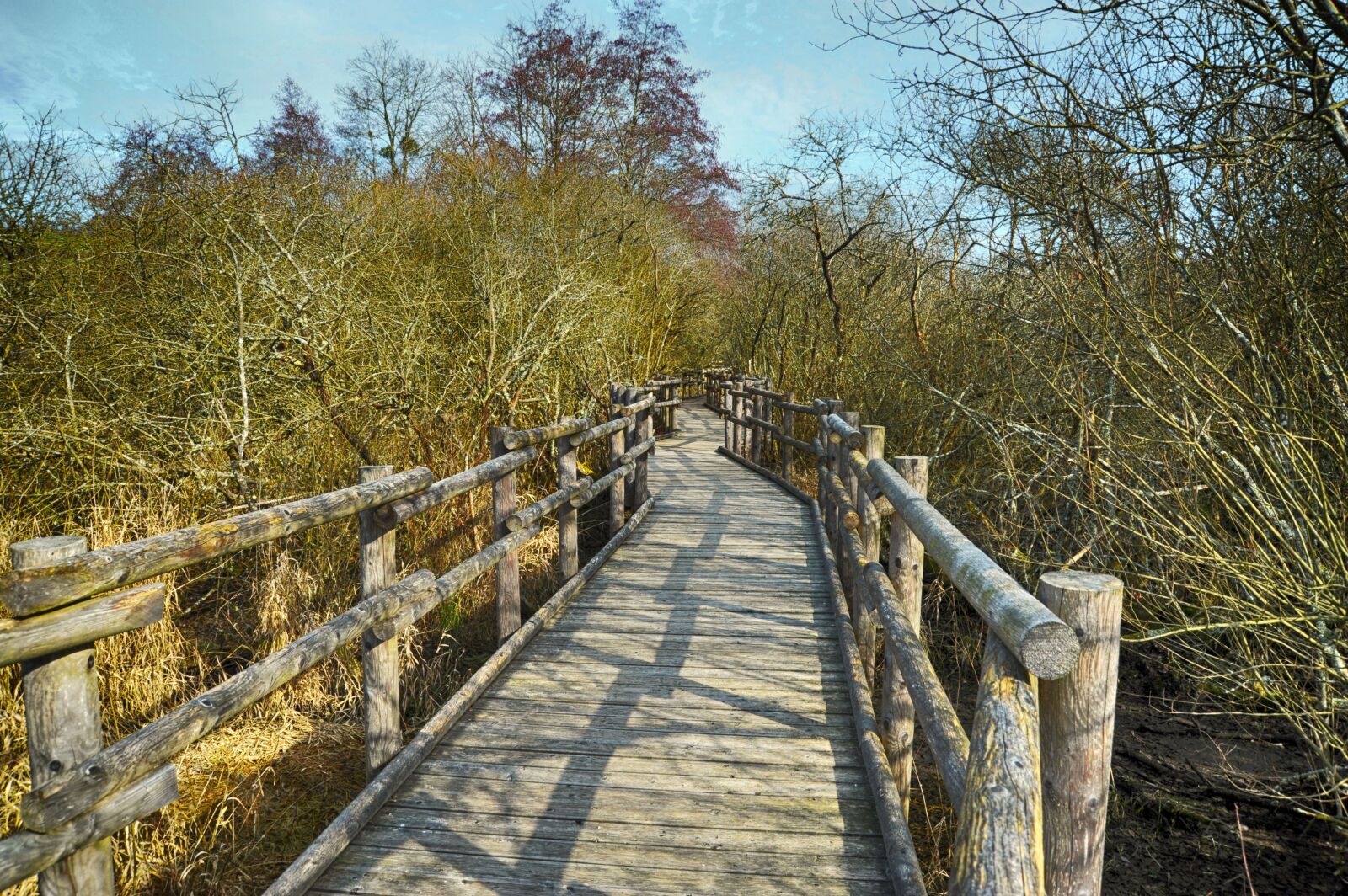 Nikon D700 sample photo. Pontoon wood, marsh, nature photography