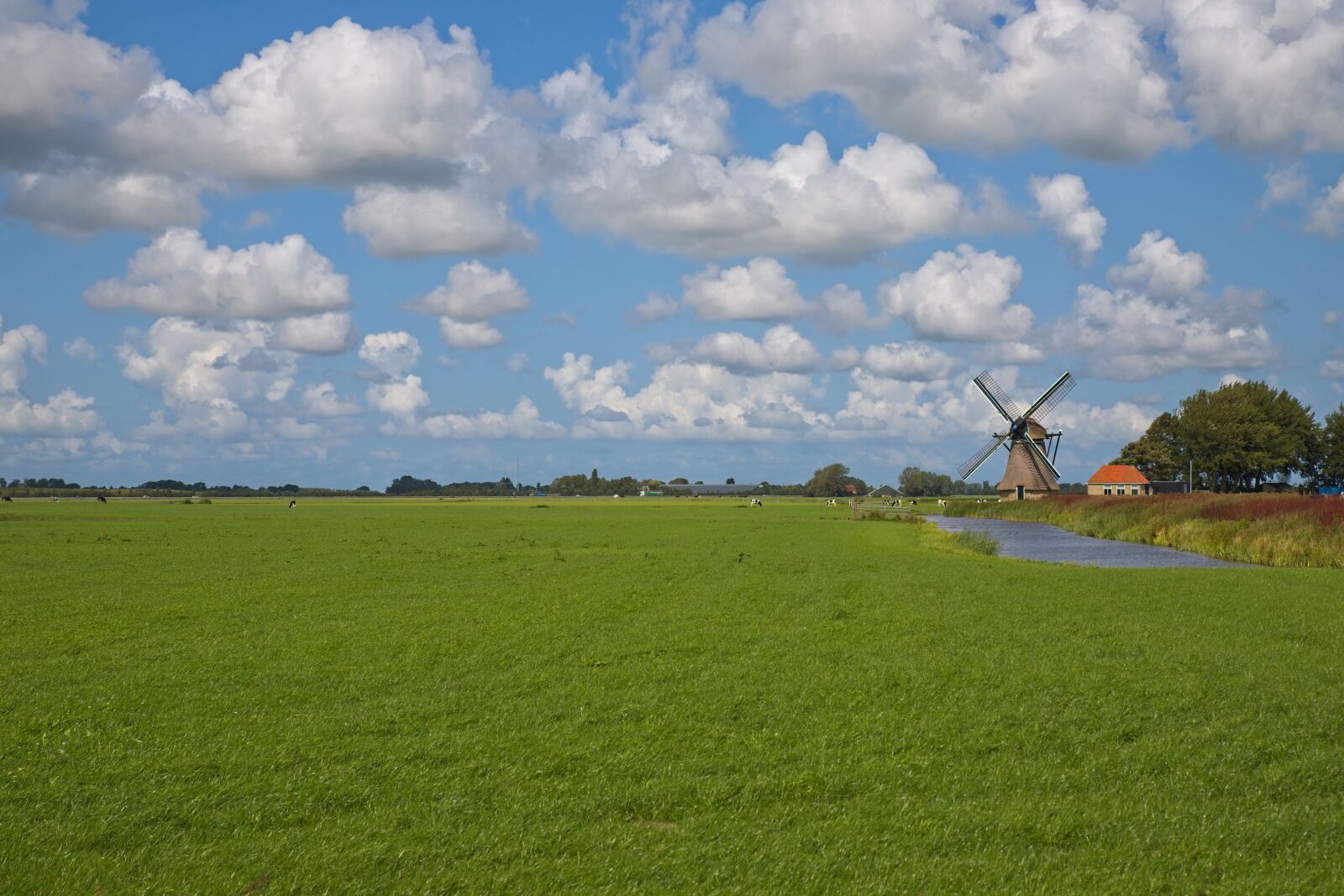 Canon EOS 6D Mark II sample photo. Landscape, view, mill photography