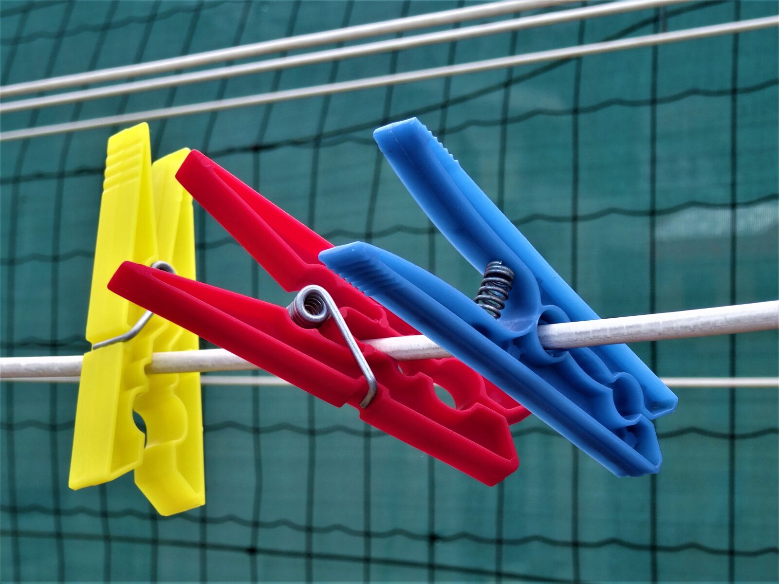 Sony Cyber-shot DSC-HX50V sample photo. Clothes peg, leash, color photography