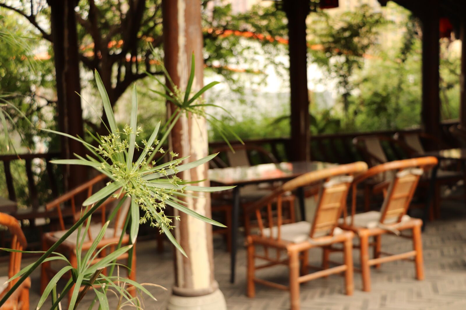 Canon EOS 800D (EOS Rebel T7i / EOS Kiss X9i) sample photo. The yard, bamboo chair photography