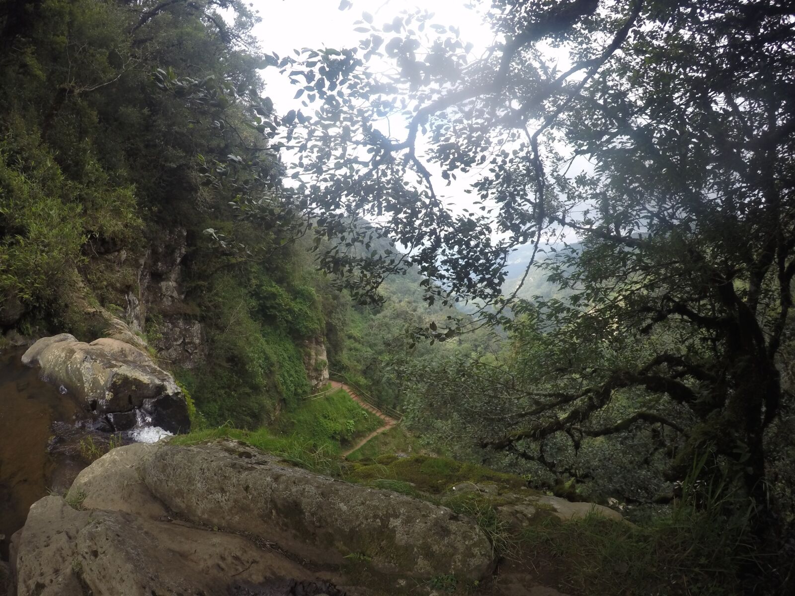 GoPro HERO4 Silver sample photo. Forest, nature, landscape photography