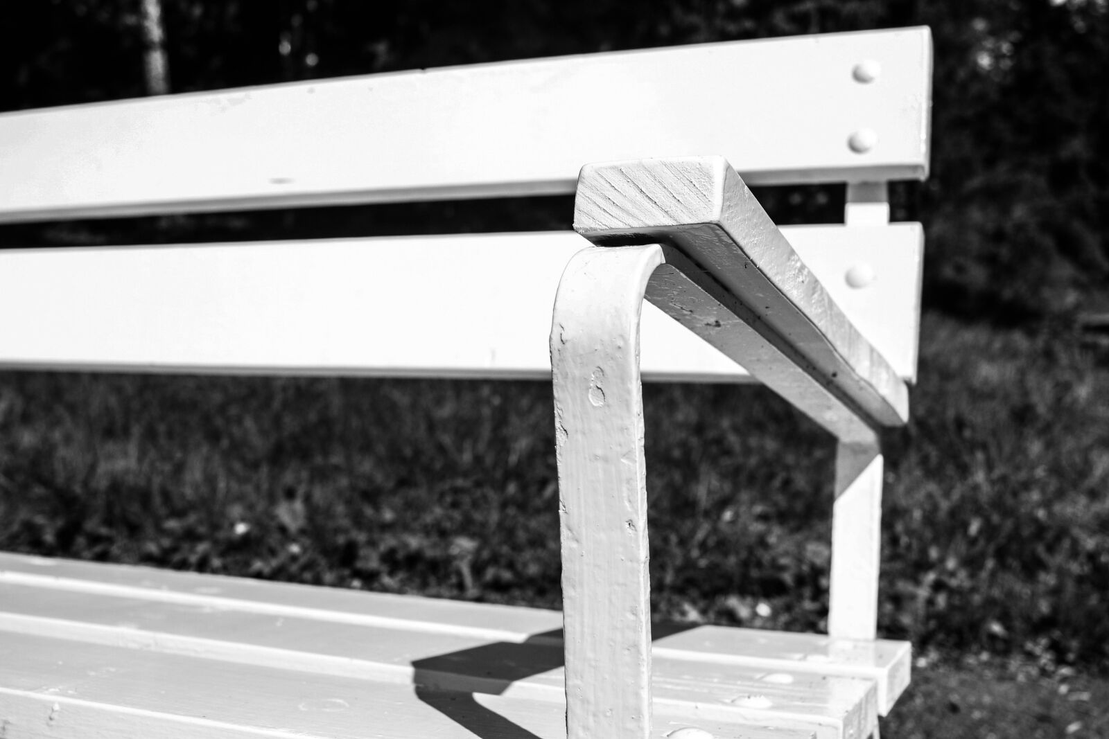 Canon EOS 7D Mark II + Canon EF-S 24mm F2.8 STM sample photo. Bench, sitting, outdoor photography