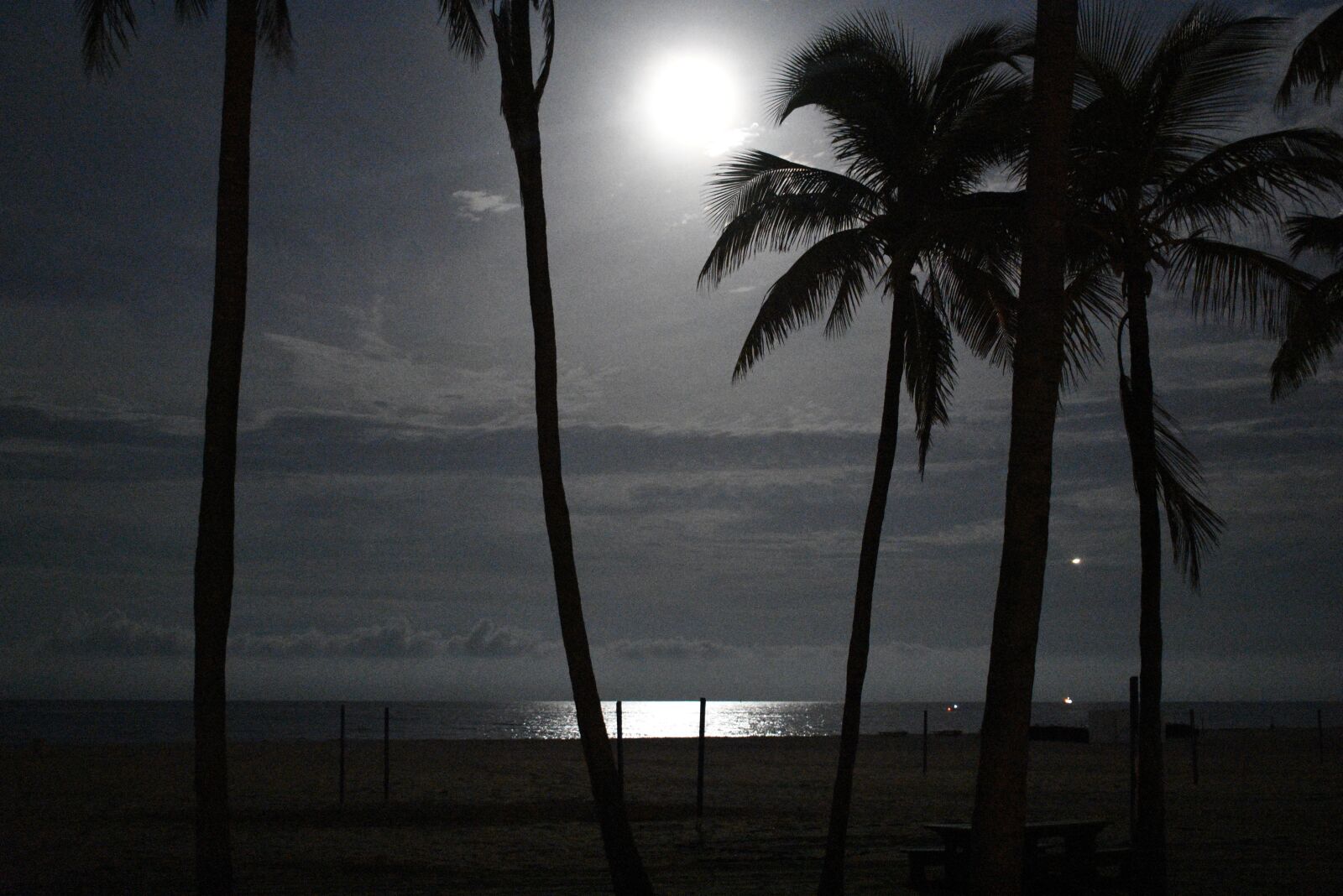 Nikon D3400 sample photo. Sea, moon, night photography