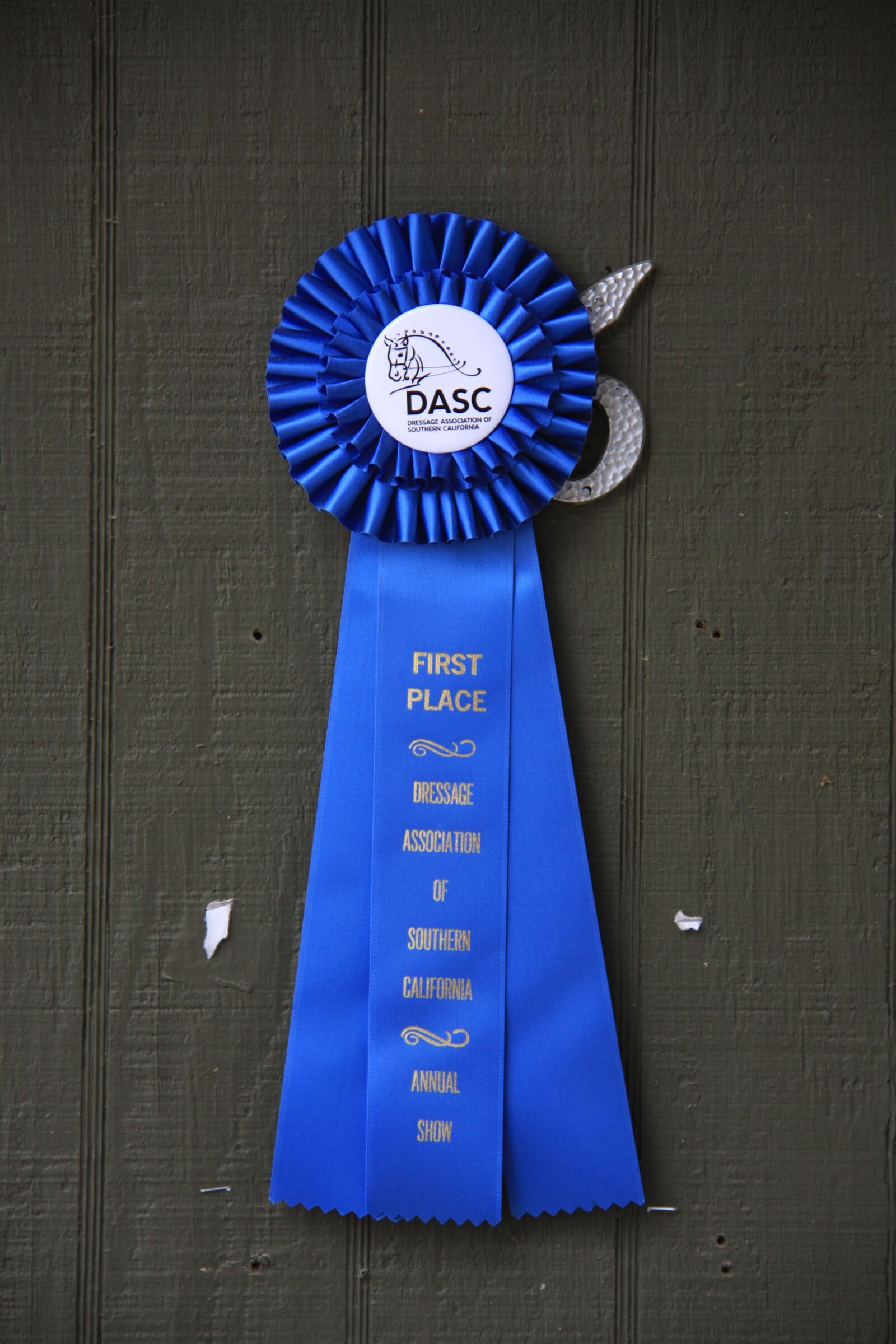 Canon EOS 40D sample photo. Blue ribbon, horse show photography