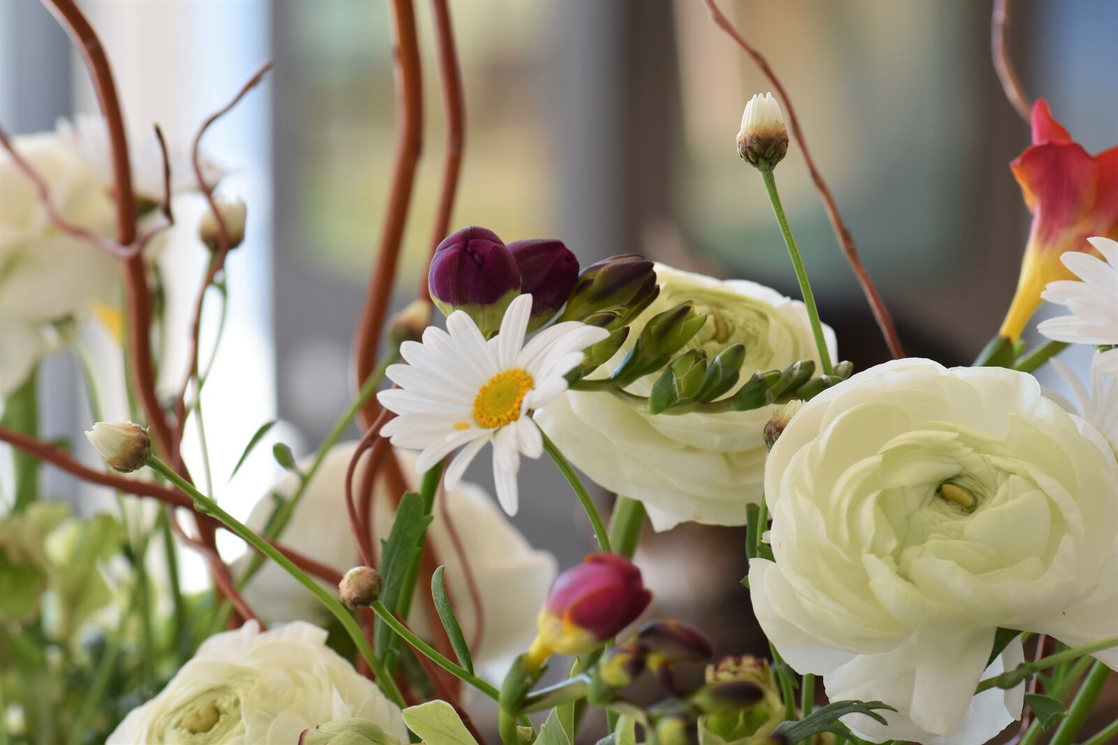 Nikon D5500 sample photo. Flower, blossom, bloom photography