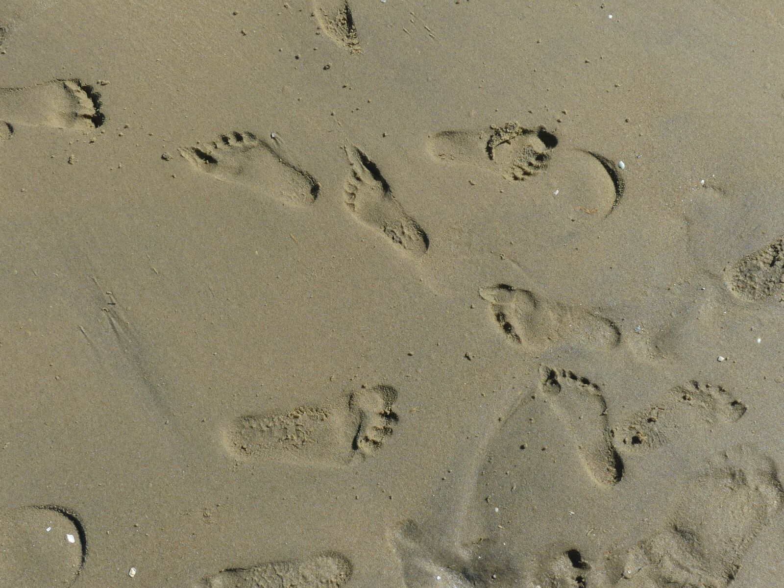 Panasonic Lumix DMC-FZ300 sample photo. Footprint, beach, sand photography