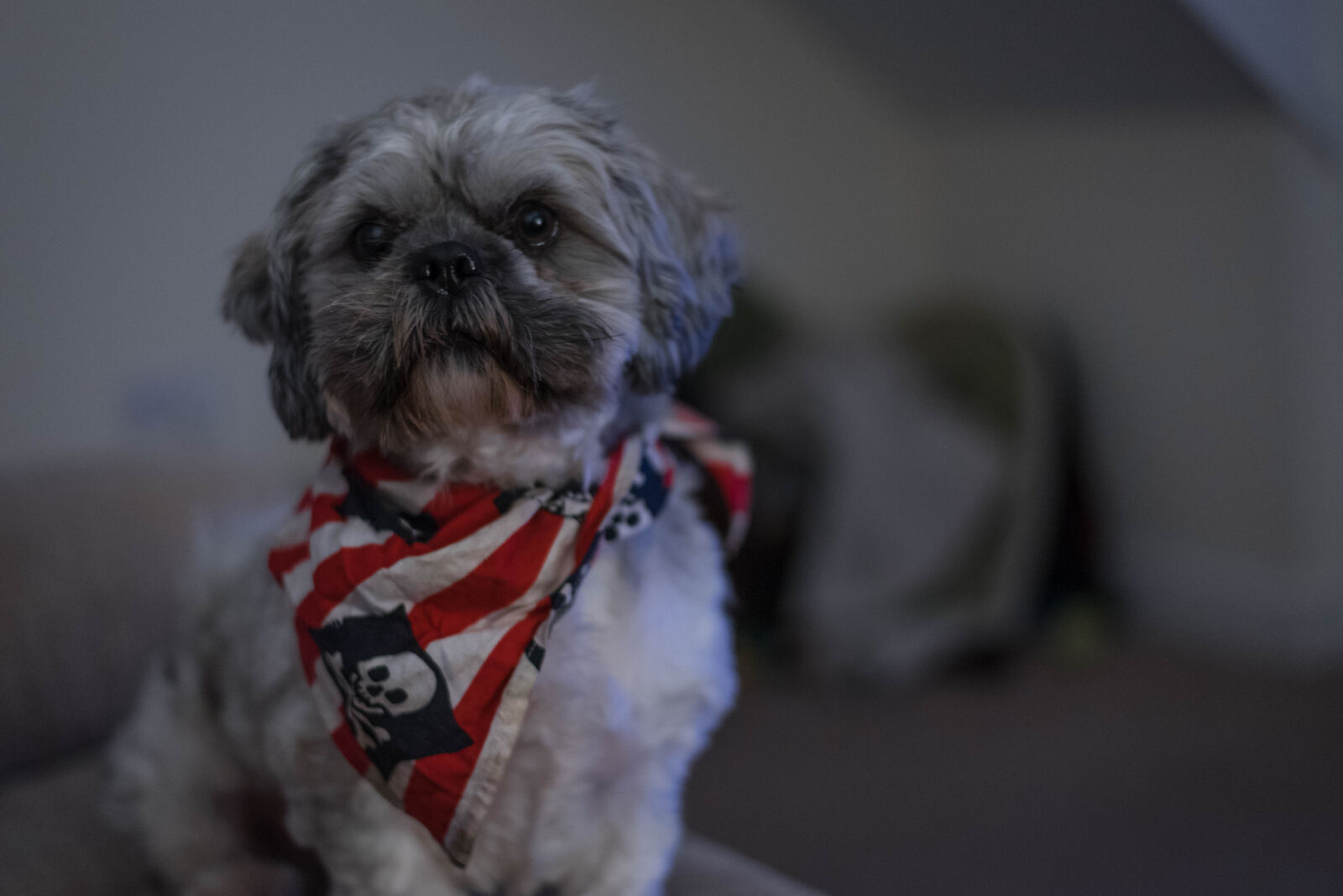 Nikon D750 + Nikon AF-S Nikkor 50mm F1.8G sample photo