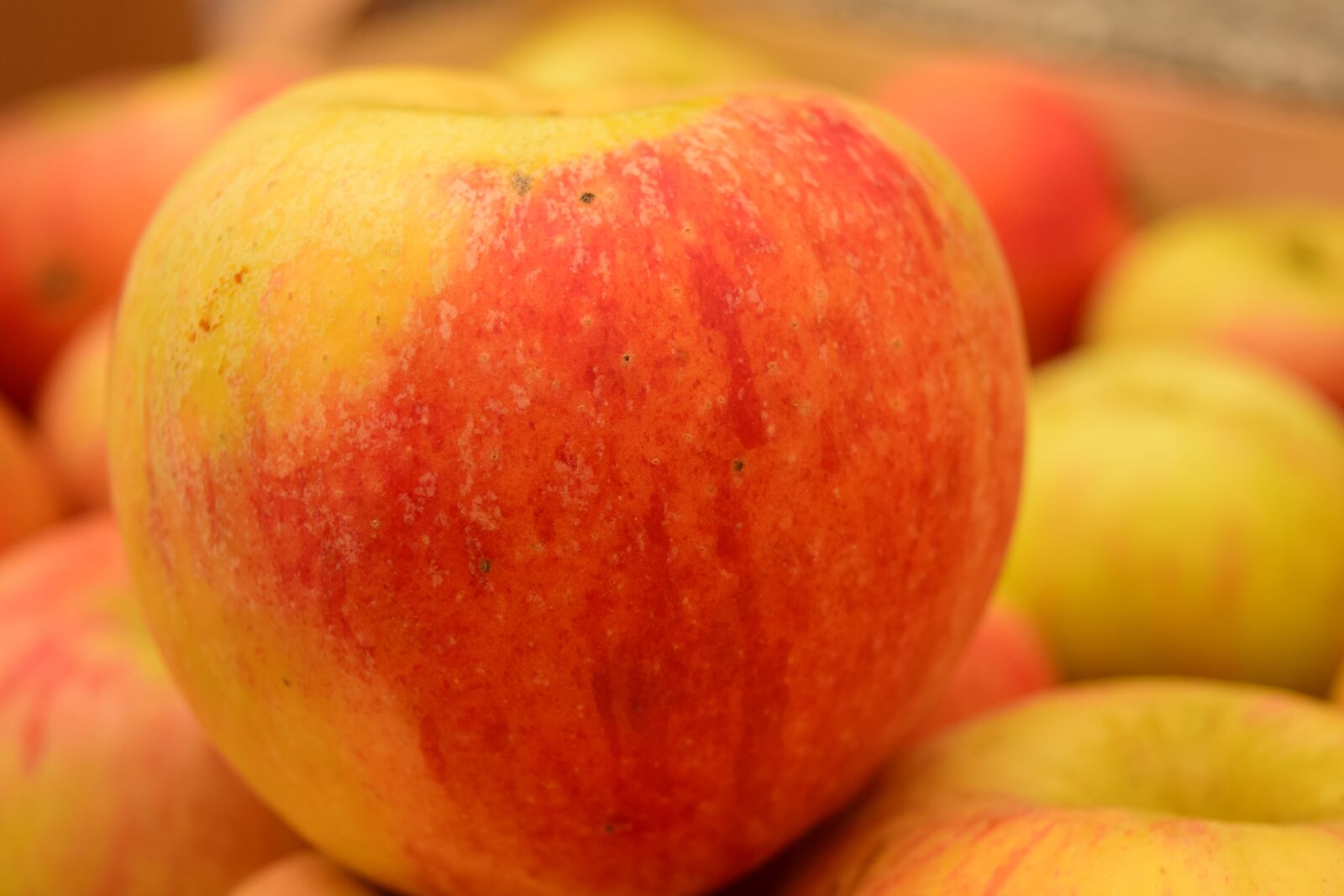 Nikon D3300 sample photo. Apple, close up, healthy photography