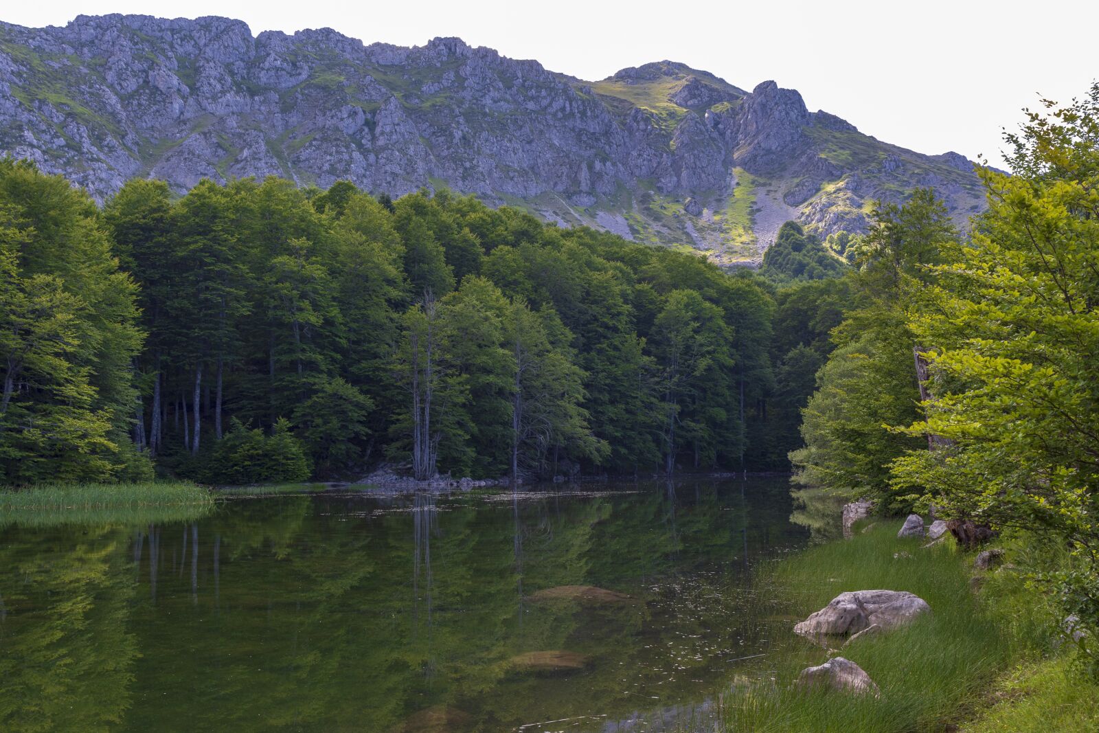 Tamron SP 24-70mm F2.8 Di VC USD sample photo. Green, mountain, landscape photography