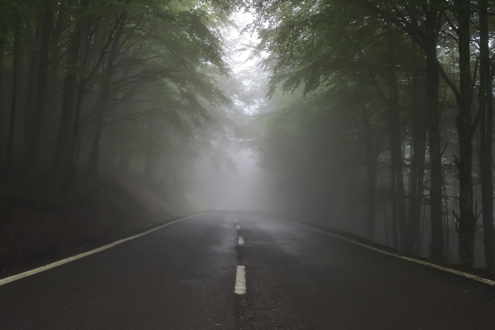 Nikon D7200 sample photo. Future, fear, uncertainty photography