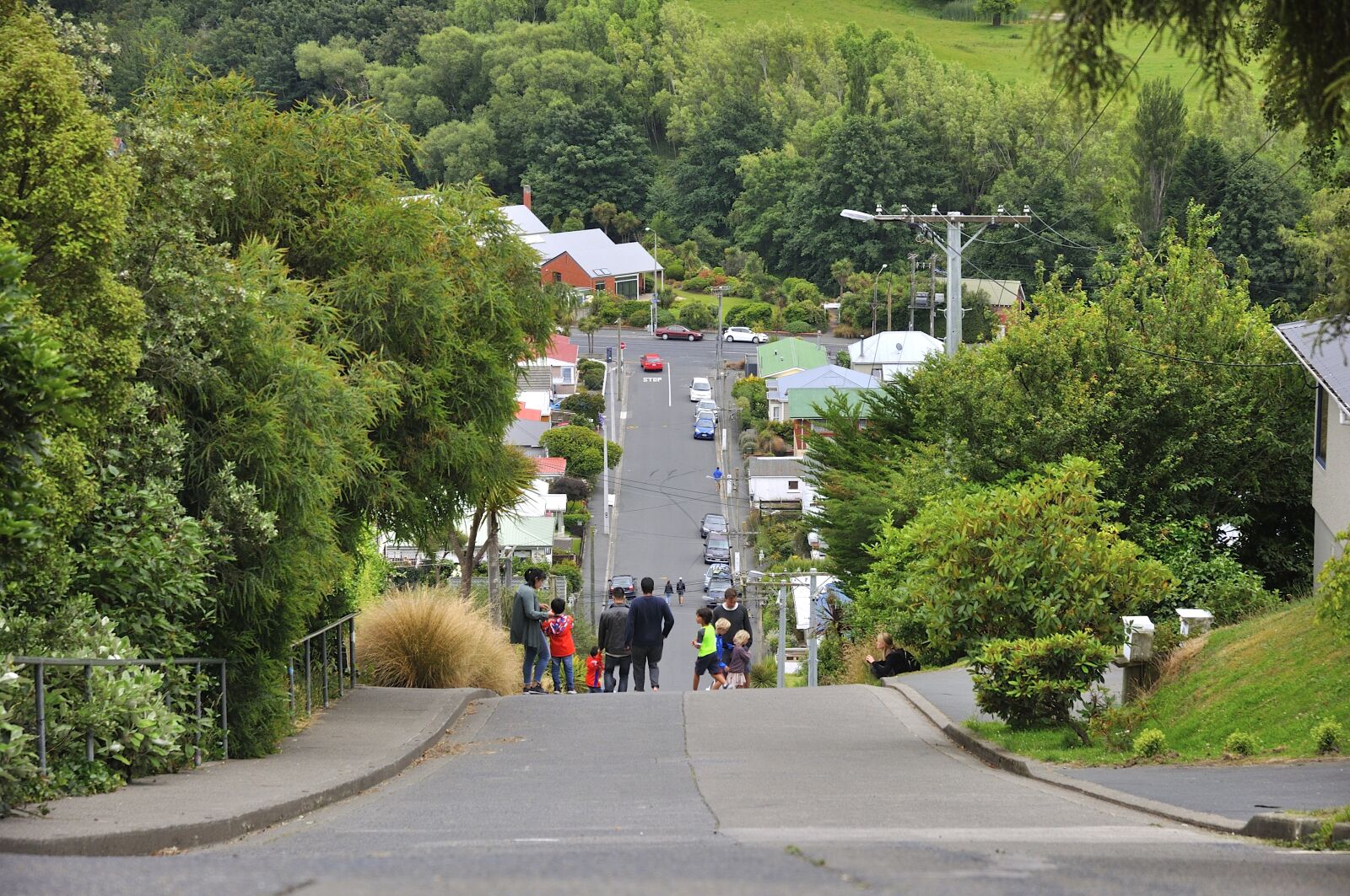 Nikon D90 sample photo. Road, street, baldwin street photography