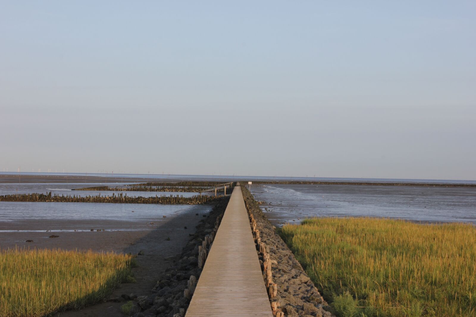 Canon EOS 550D (EOS Rebel T2i / EOS Kiss X4) sample photo. Watts, web, north sea photography
