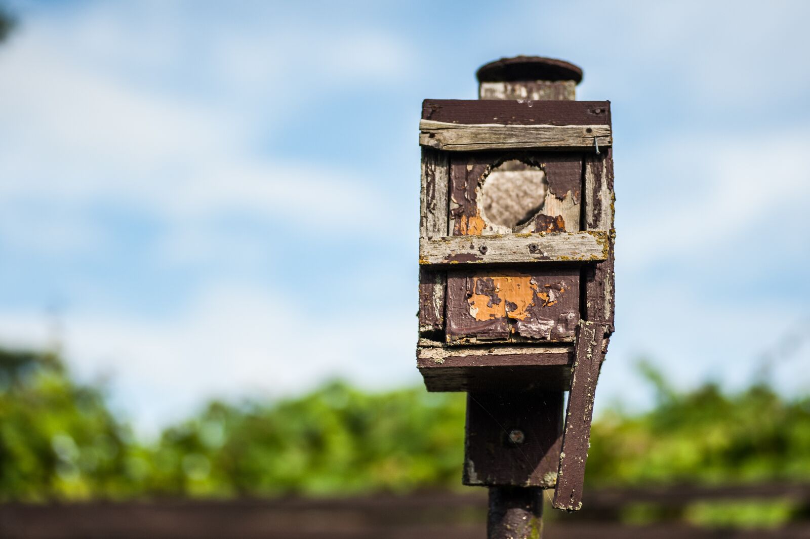 Nikon D700 sample photo. Nesting box, old, bird photography