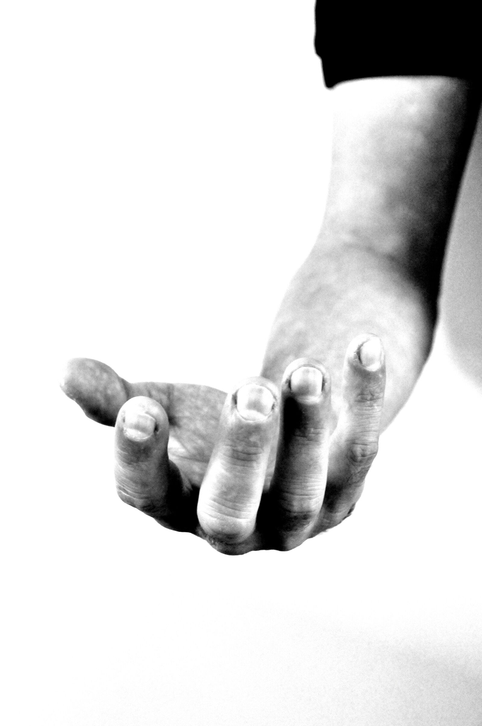 Nikon D300 sample photo. Hand, hands, catch up photography
