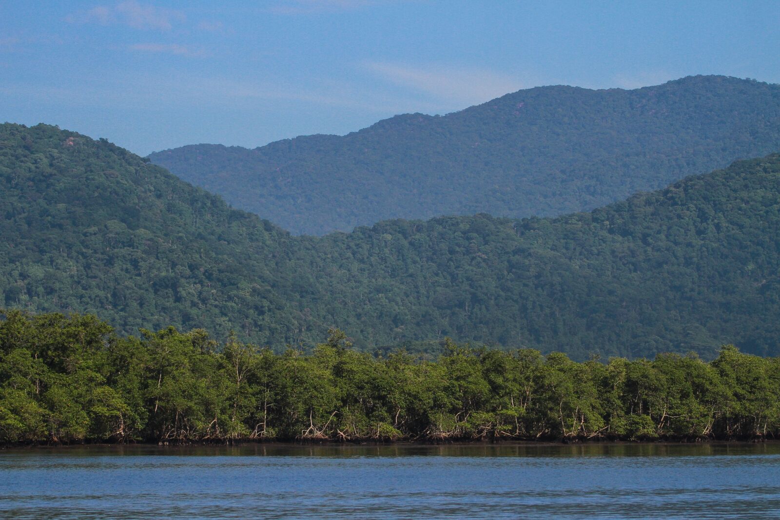 Canon EOS 7D sample photo. Atlantic forest, mangrove, brazil photography