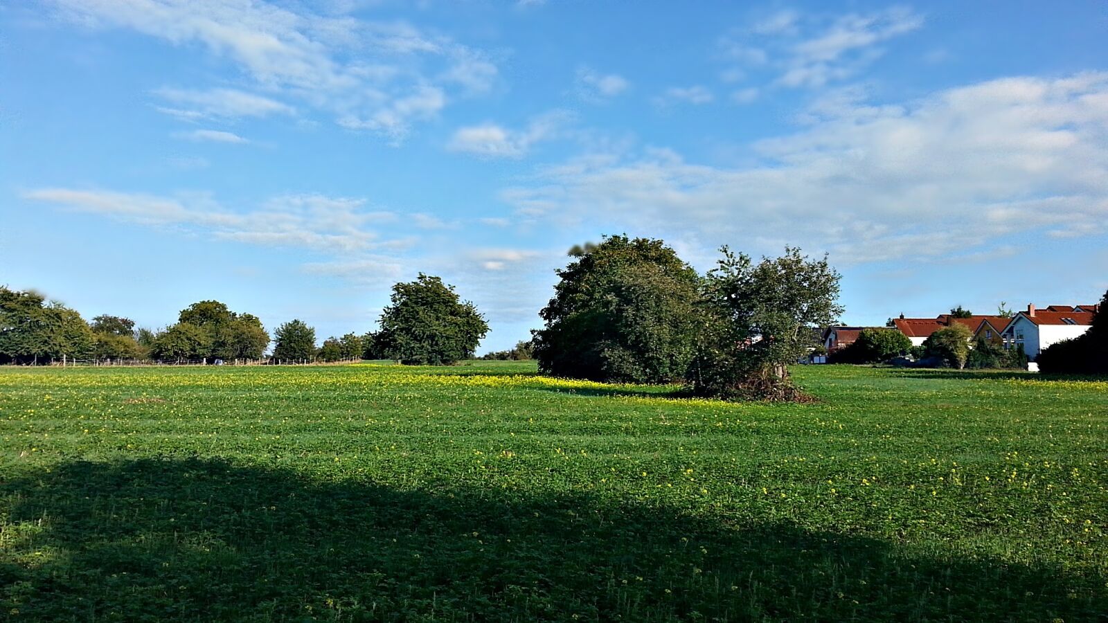 Samsung Galaxy S3 sample photo. Landscape, nature, green photography