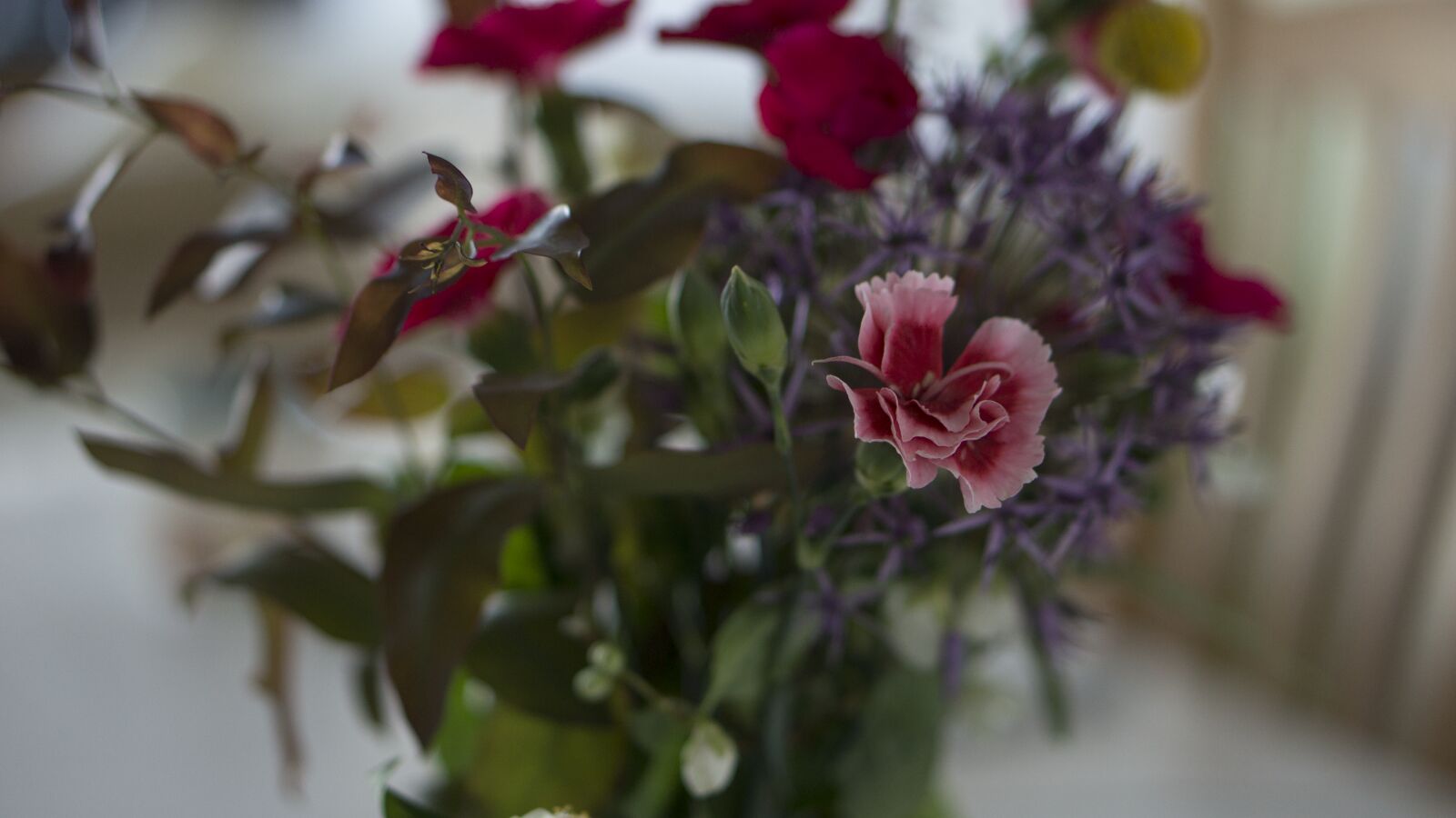 Sony Alpha NEX-7 + E 50mm F1.8 OSS sample photo. Flower, arrangement, flowers, indoor photography