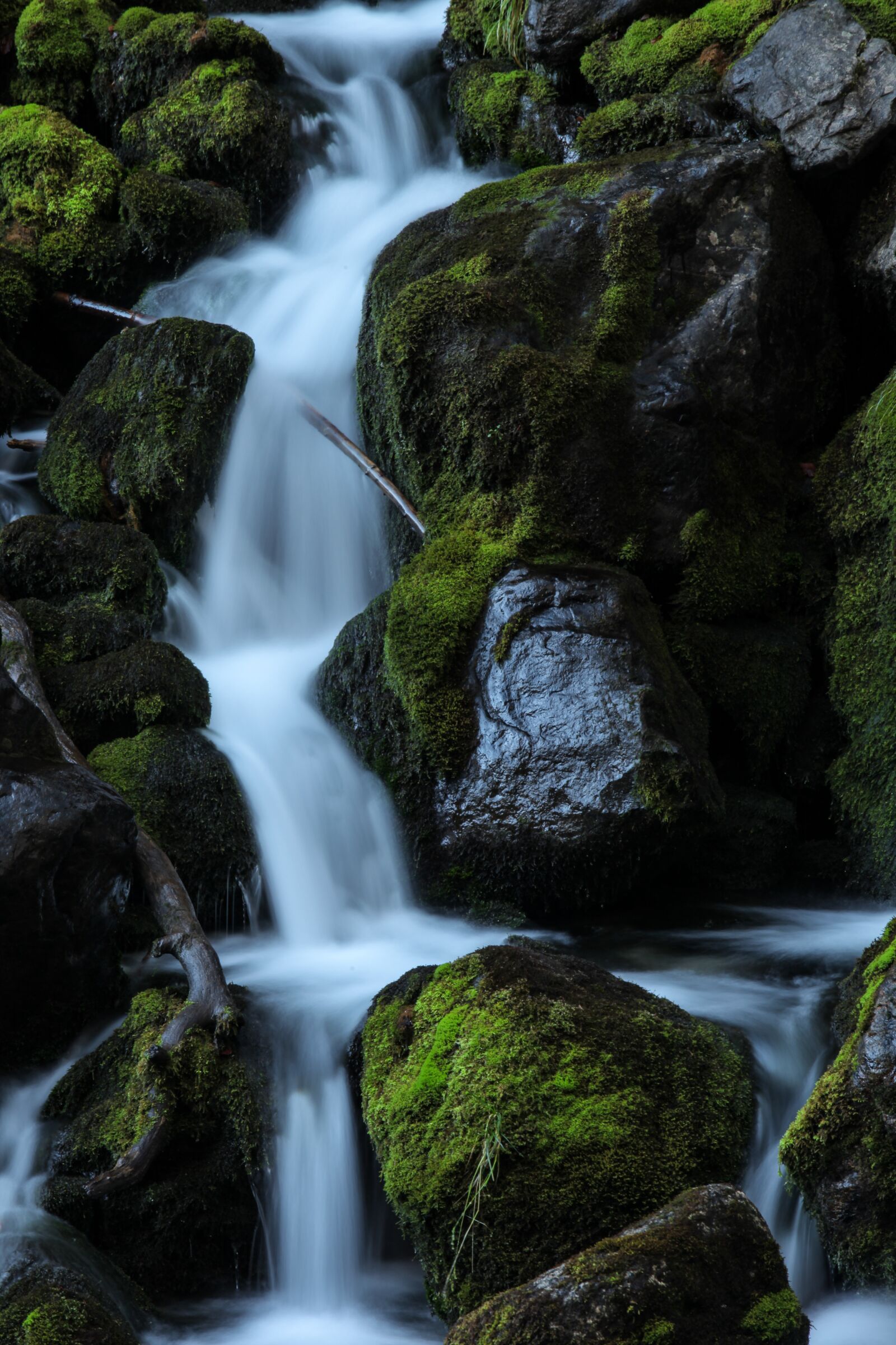 Canon EOS 5D Mark II + Canon EF 70-200mm F2.8L USM sample photo. Forest, cascade, waterfall photography