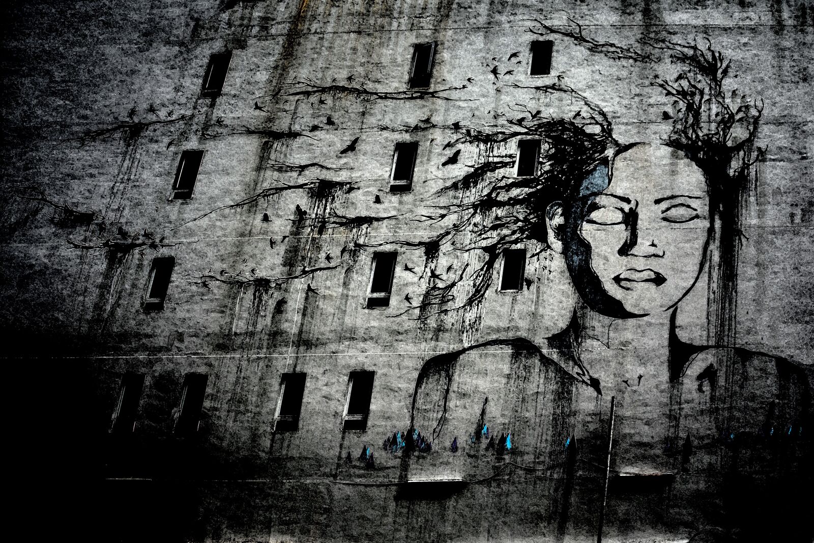 Nikon D5200 sample photo. Street art, graffiti, drawing photography