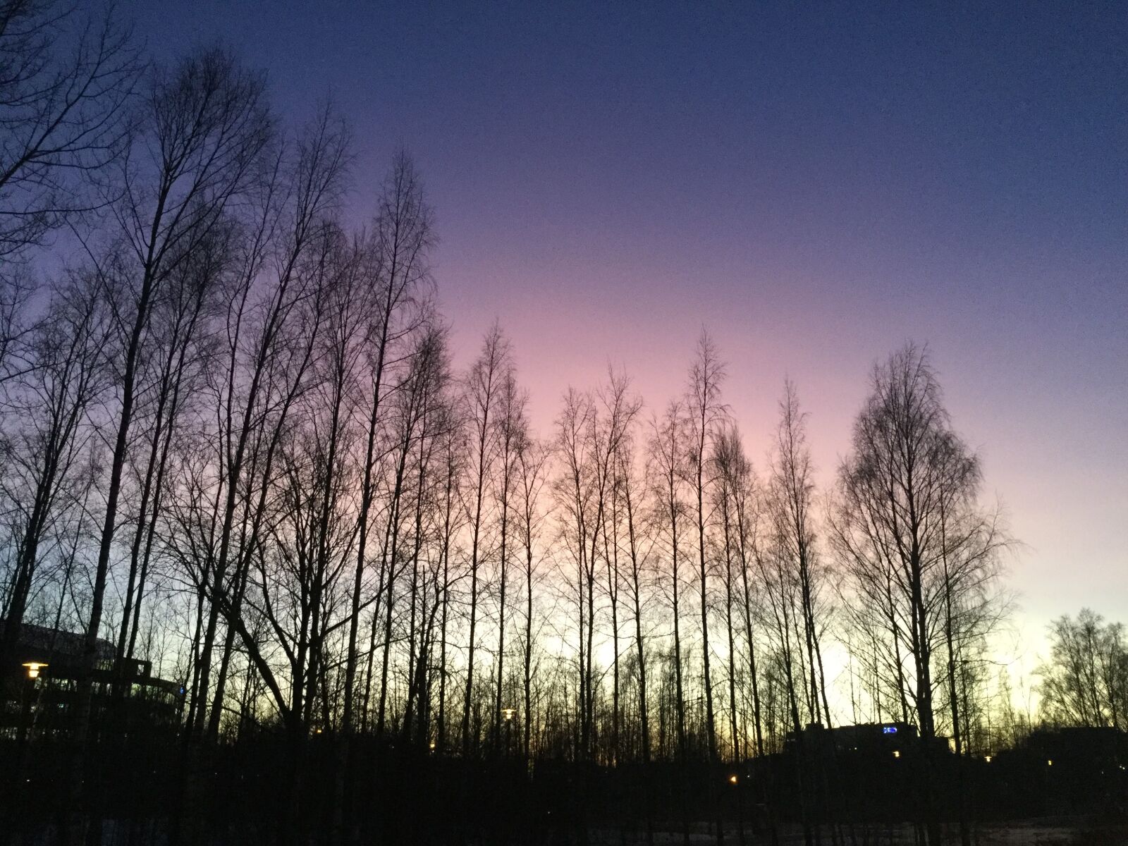 iPad Air 2 back camera 3.3mm f/2.4 sample photo. Forest, at, sunset photography