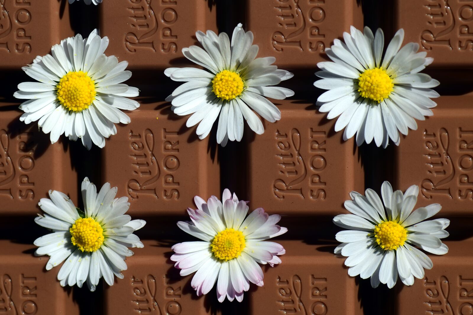 Nikon D3300 sample photo. Chocolate, benefit from, delicious photography