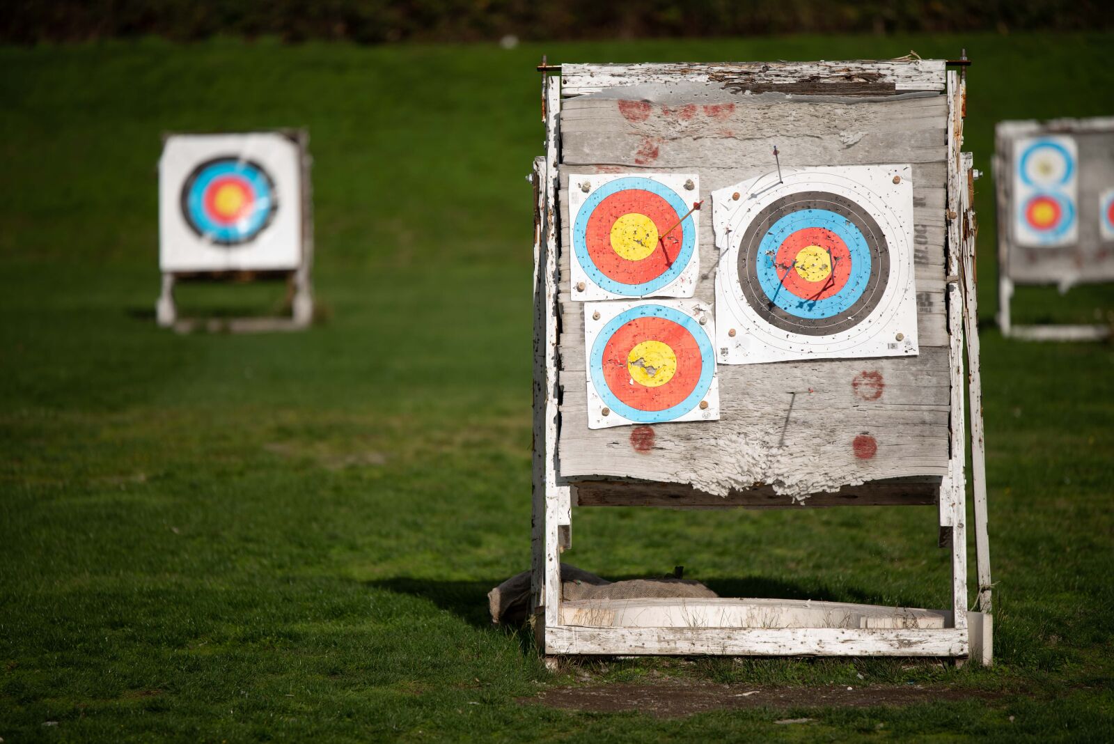 Nikon D750 sample photo. Target, aim, arrows photography