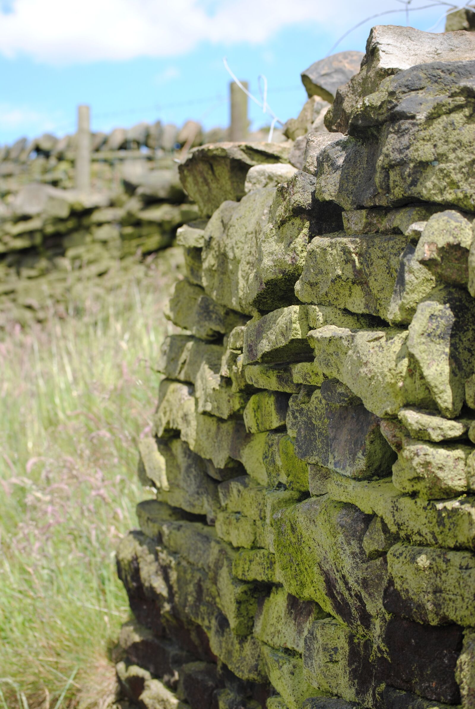Nikon D3000 sample photo. Wall, stone, texture photography
