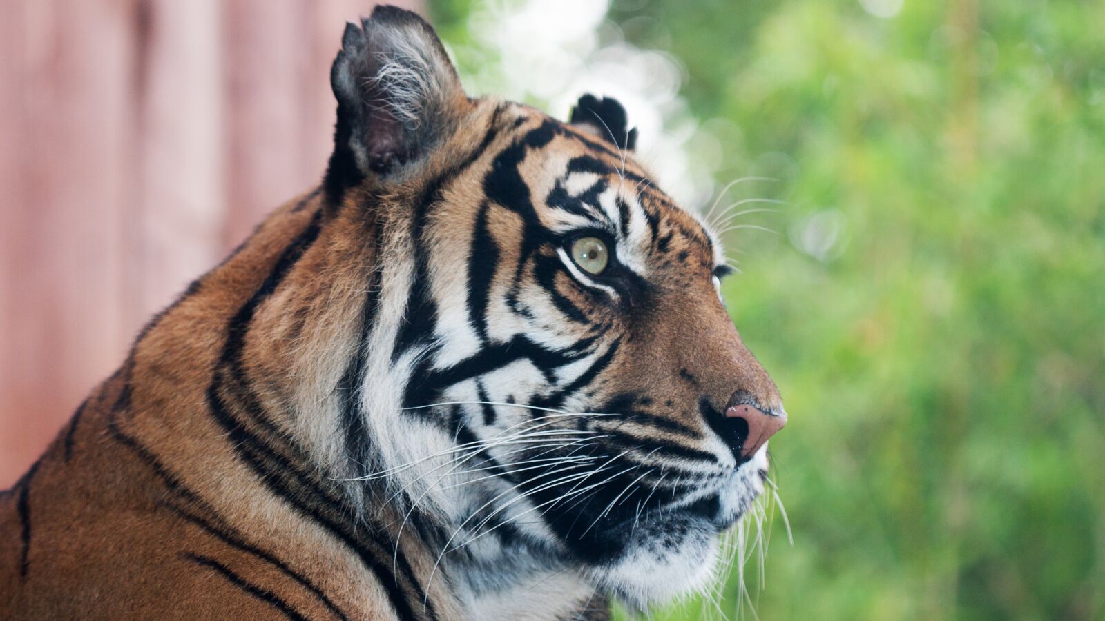 Canon EOS 20D sample photo. Travel, london, london zoo photography