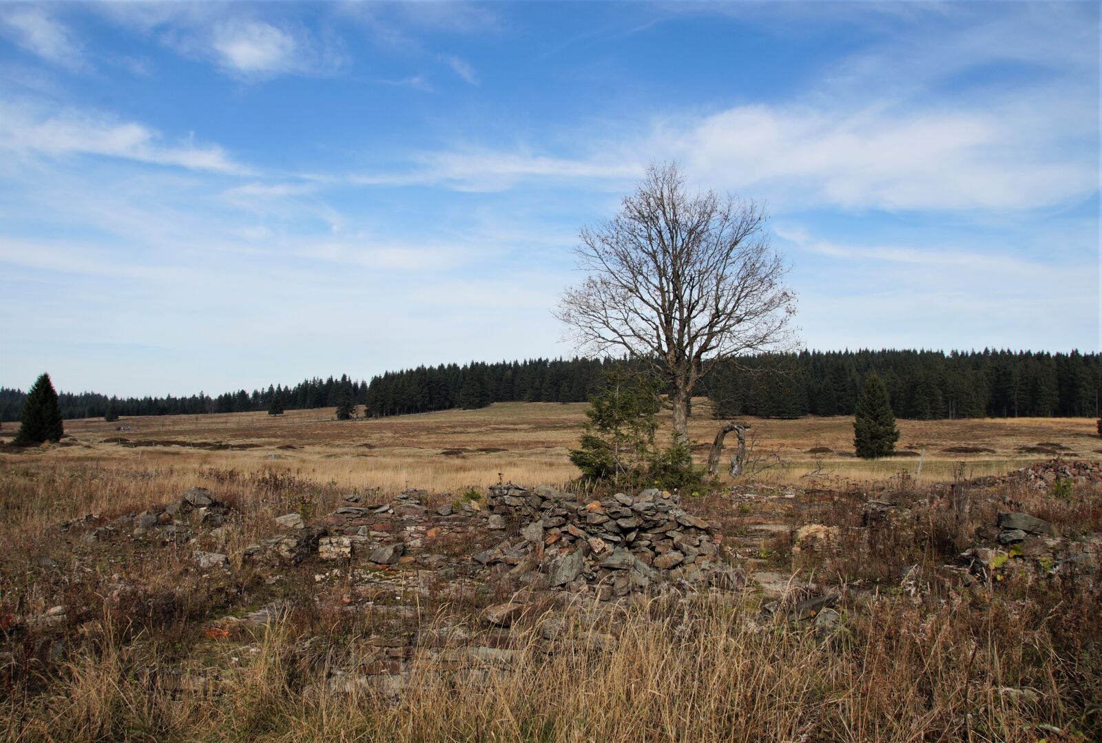 Sony SLT-A58 sample photo. God's gift, bo darsk photography