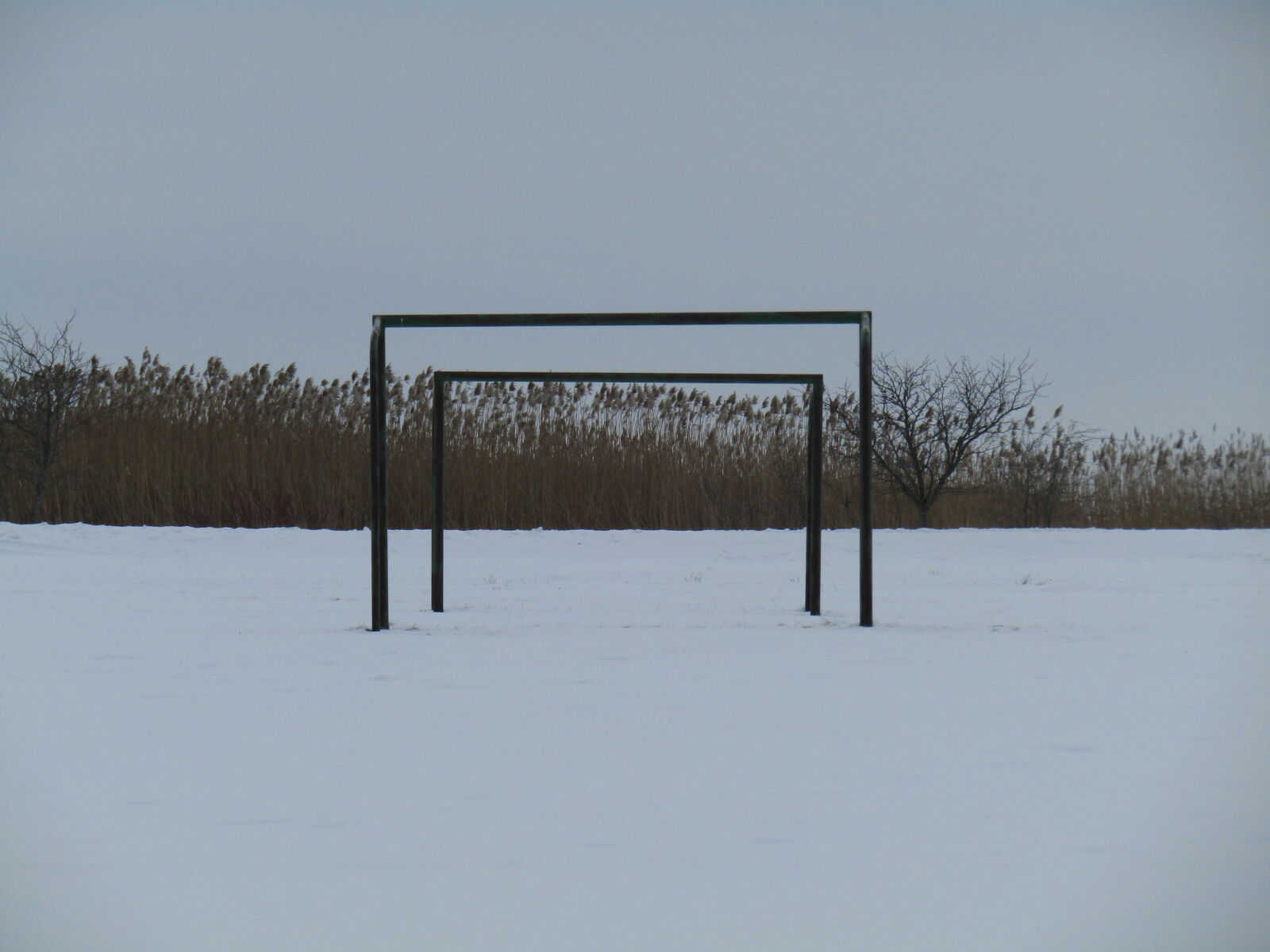 Canon PowerShot SX420 IS sample photo