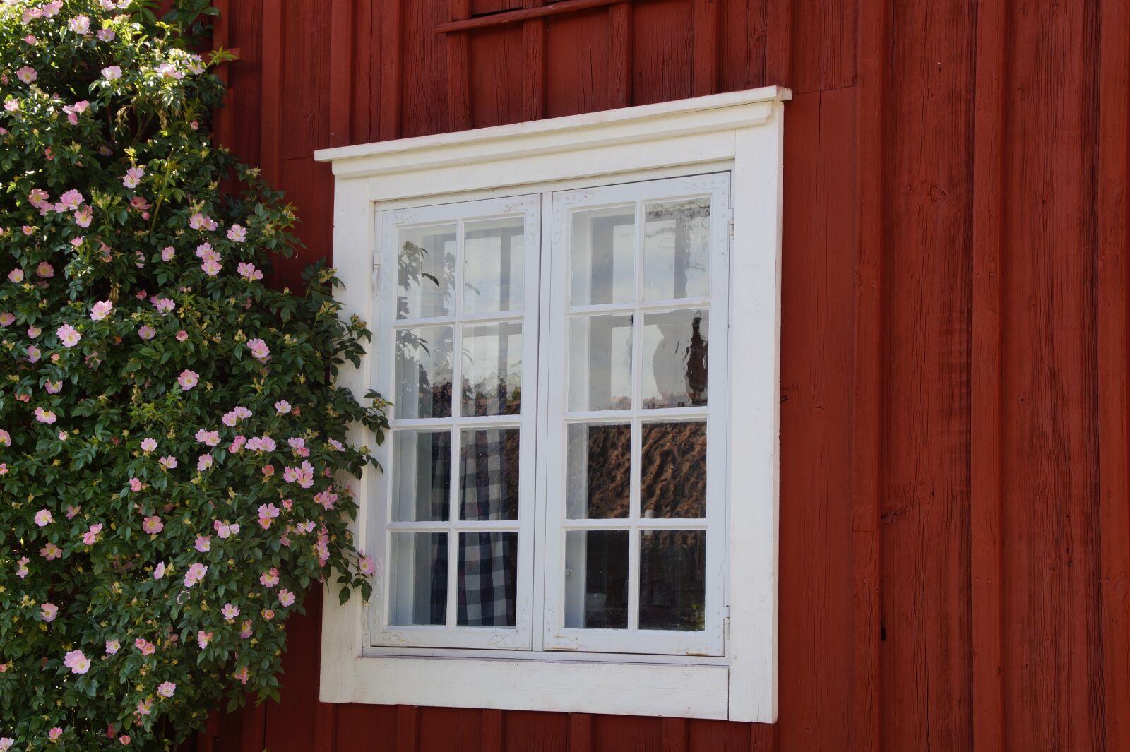 Sony SLT-A58 sample photo. Window, friendly, sweden photography