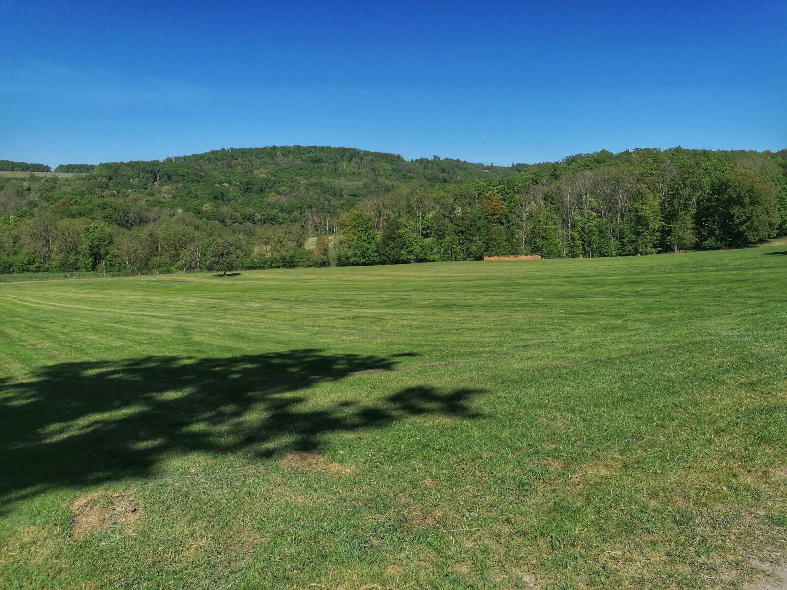 HUAWEI P30 LITE sample photo. Meadow, grass, nature photography