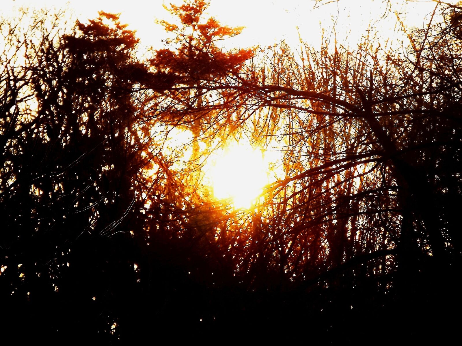 Fujifilm FinePix S3400 sample photo. Sunset, tree, sky photography