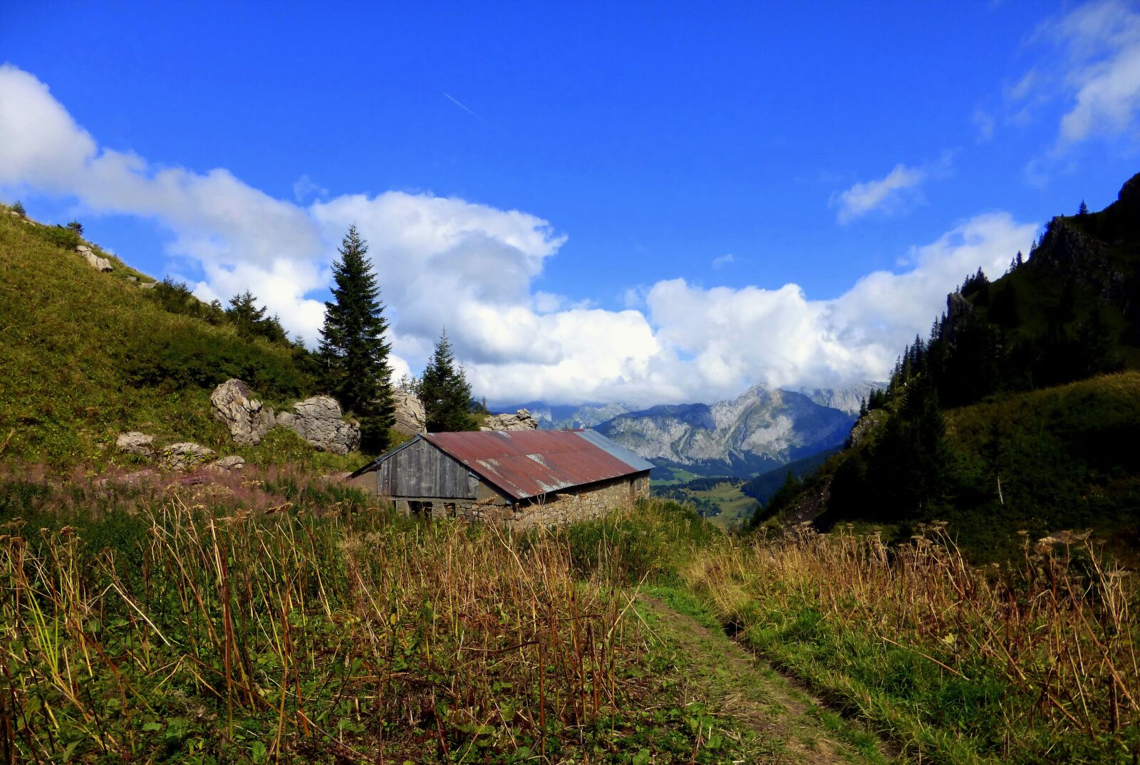 Panasonic Lumix DMC-ZS25 (Lumix DMC-TZ35) sample photo. Alpe, haute savoie, nature photography