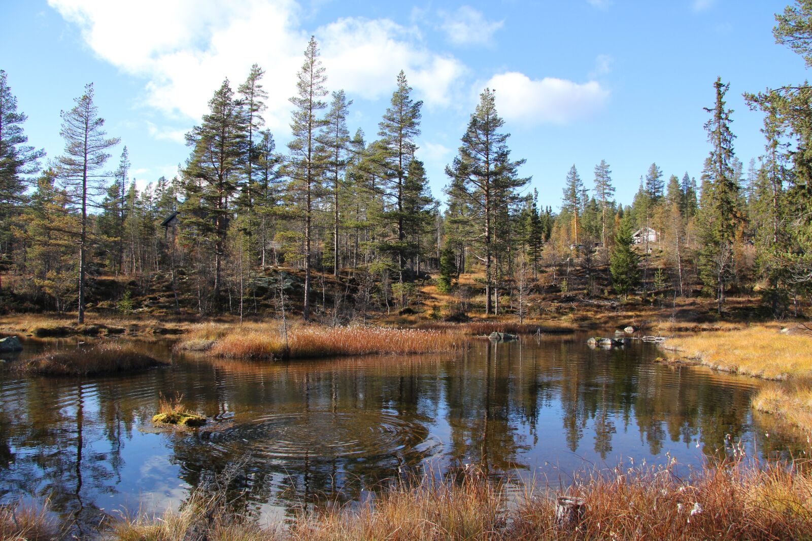 Canon EF-S 17-85mm F4-5.6 IS USM sample photo. Autumn, telemark norway, tindefjell photography