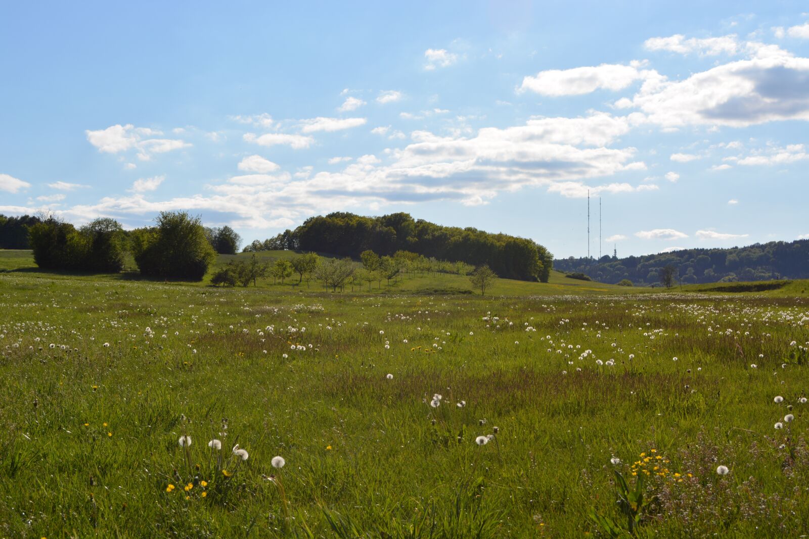Nikon D5200 sample photo. Meadow, spring, summer photography