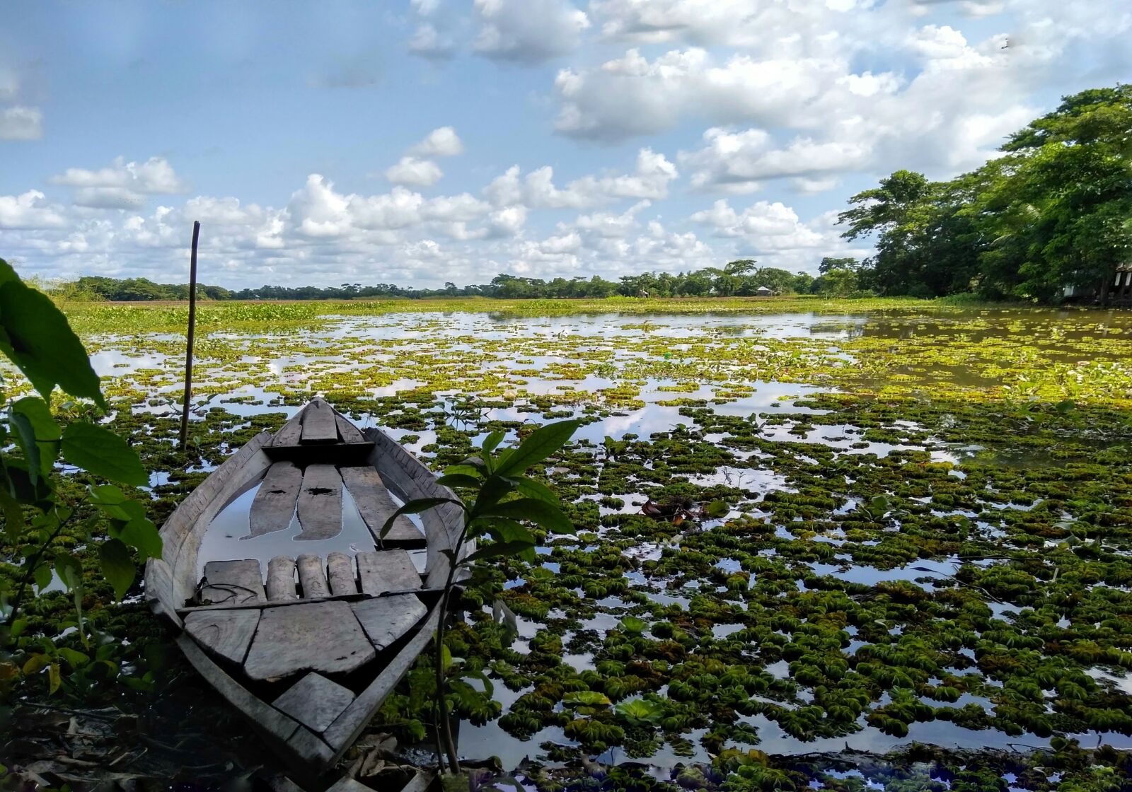 Xiaomi Redmi 4 Pro sample photo. Water, nature, outdoors photography