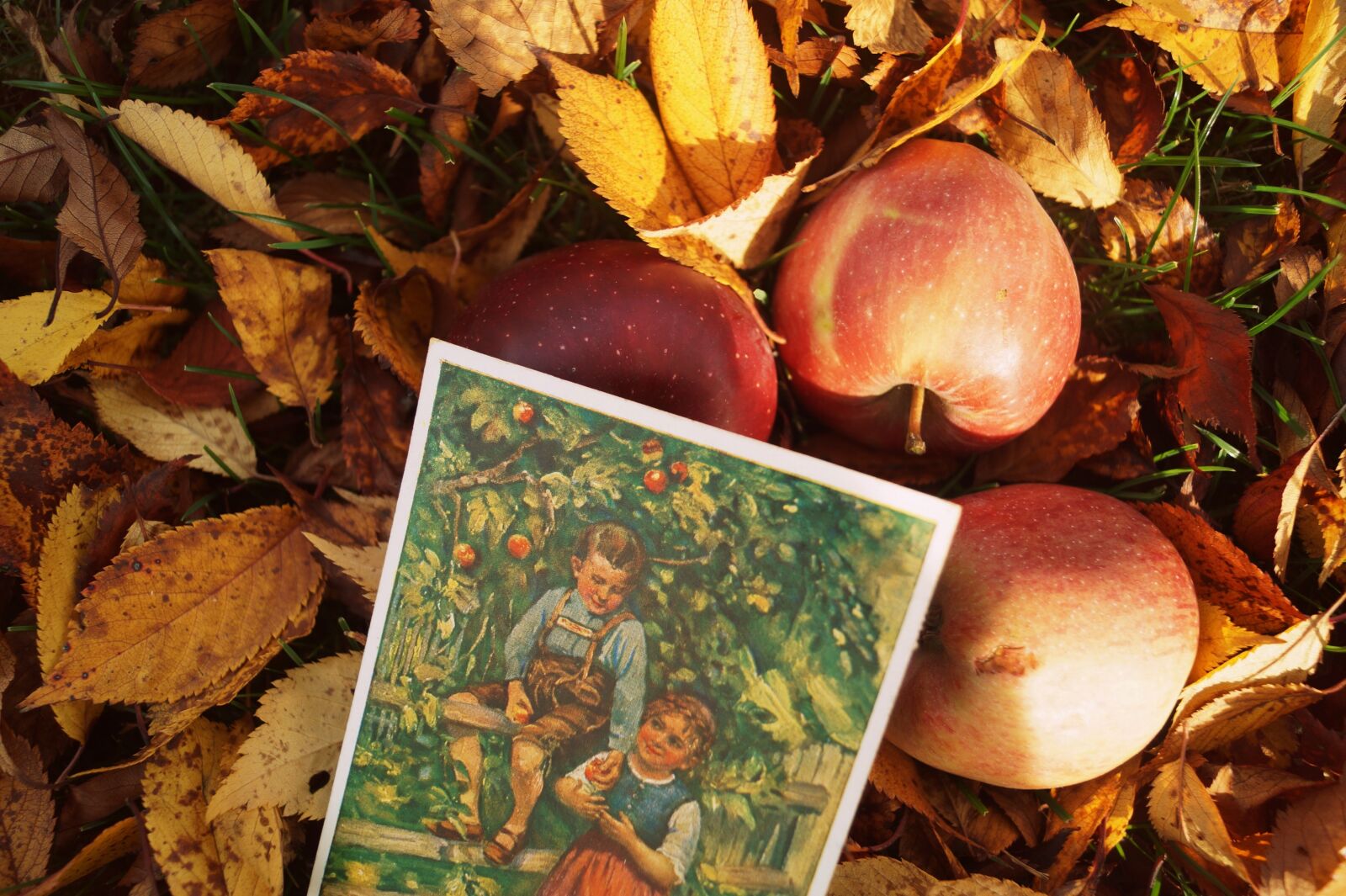 Sony SLT-A58 sample photo. Autumn, vintage, retro photography