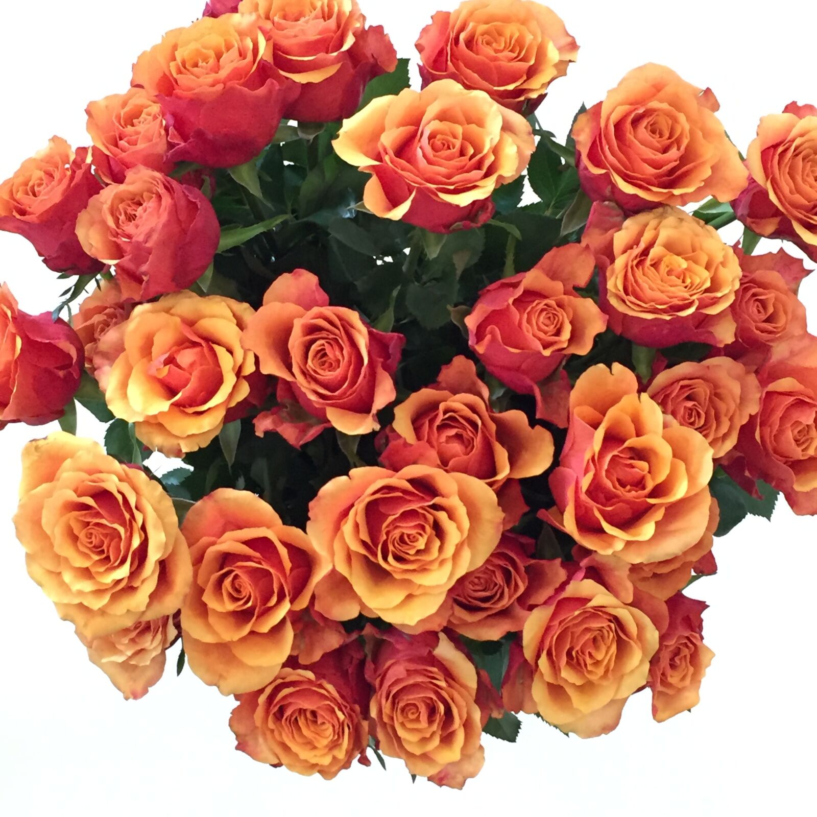 Apple iPhone 6 sample photo. Bouquet de fleurs, floral photography