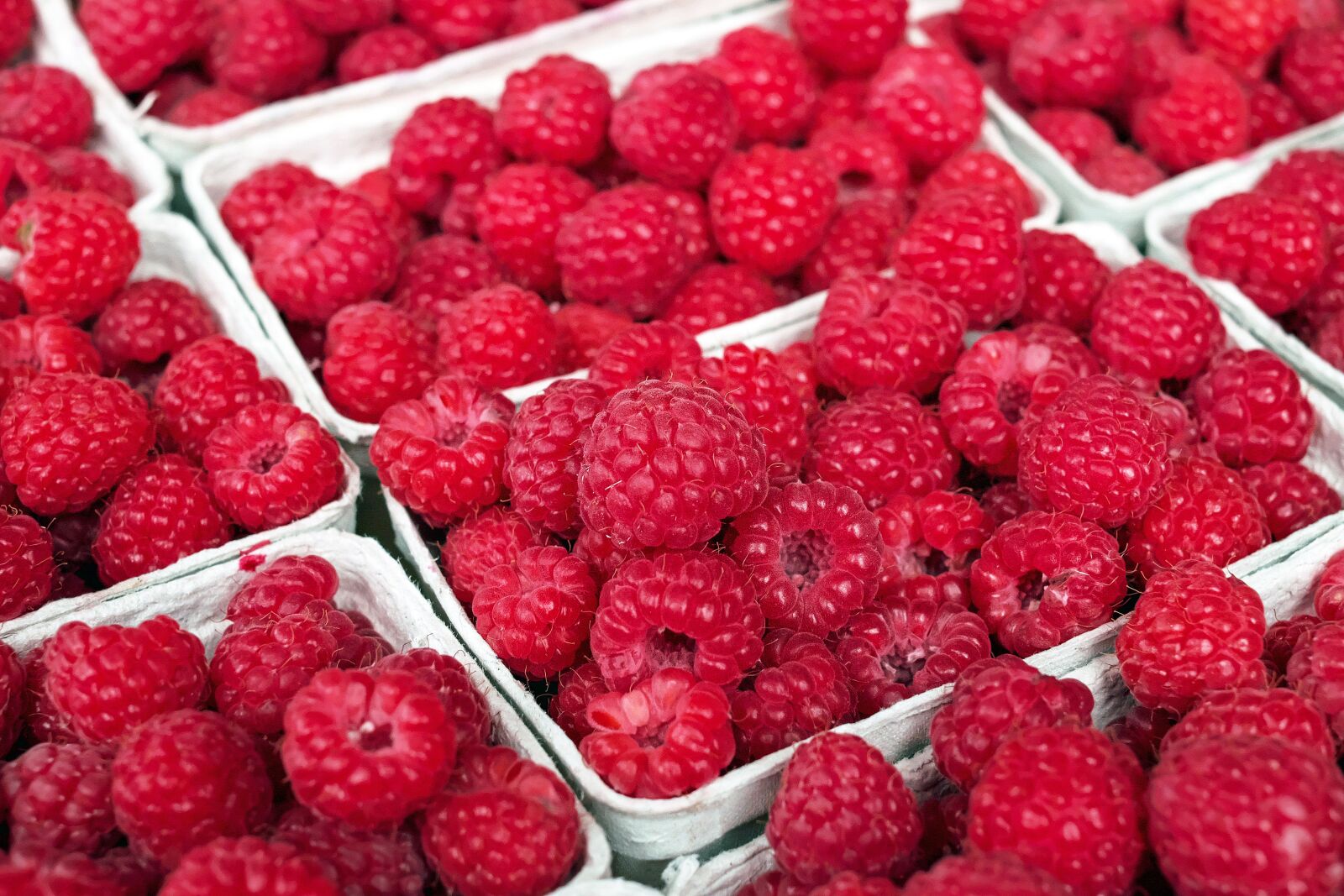 Fujifilm X-T10 + Fujifilm XF 35mm F1.4 R sample photo. Raspberry, berry, fruit photography