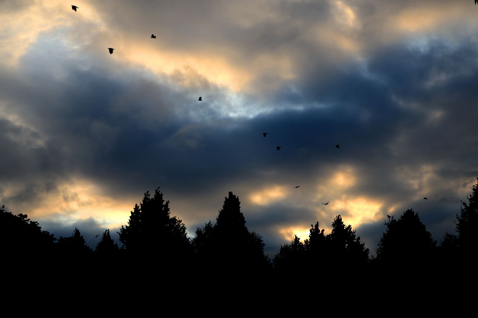 Canon PowerShot G1 X Mark III sample photo. Nature, night, cloud photography