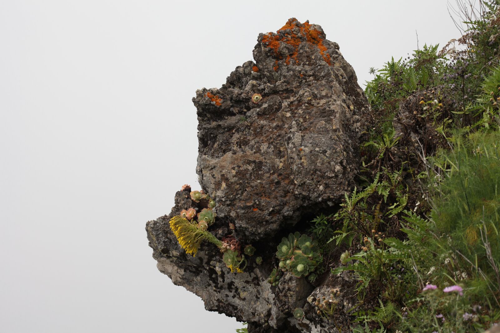 Canon EOS 5D Mark II sample photo. Canary islands, iron, nature photography