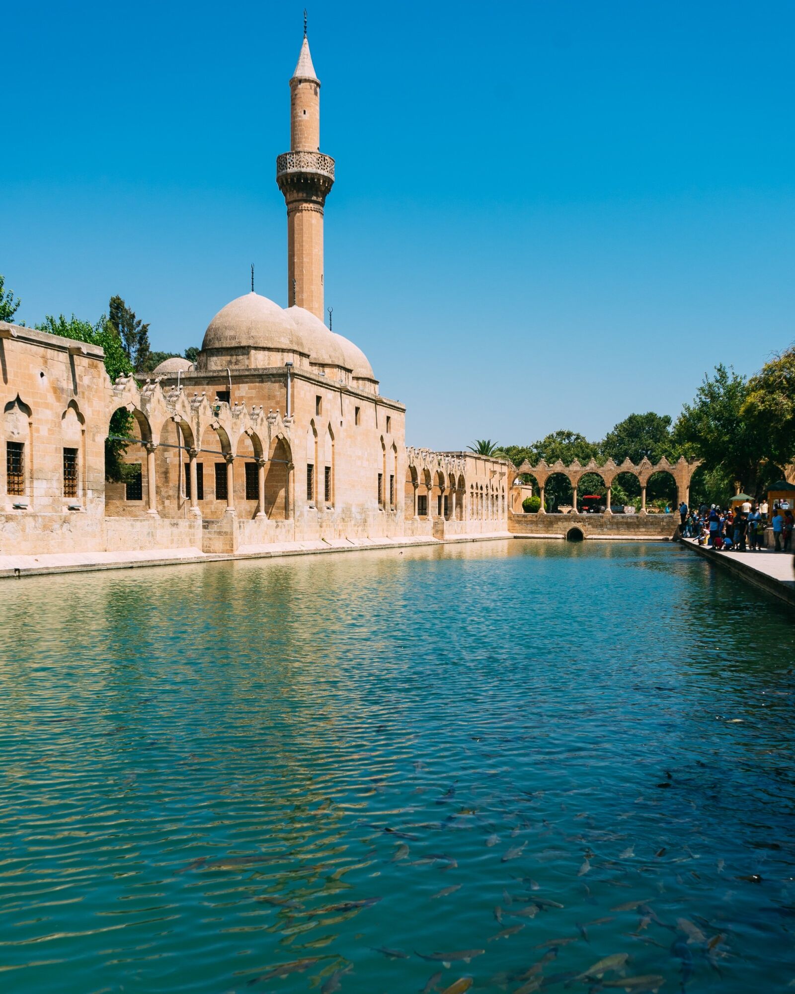 Sony a7 II + Sony FE 28-70mm F3.5-5.6 OSS sample photo. Sanliurfa, urfa, balikligöl photography