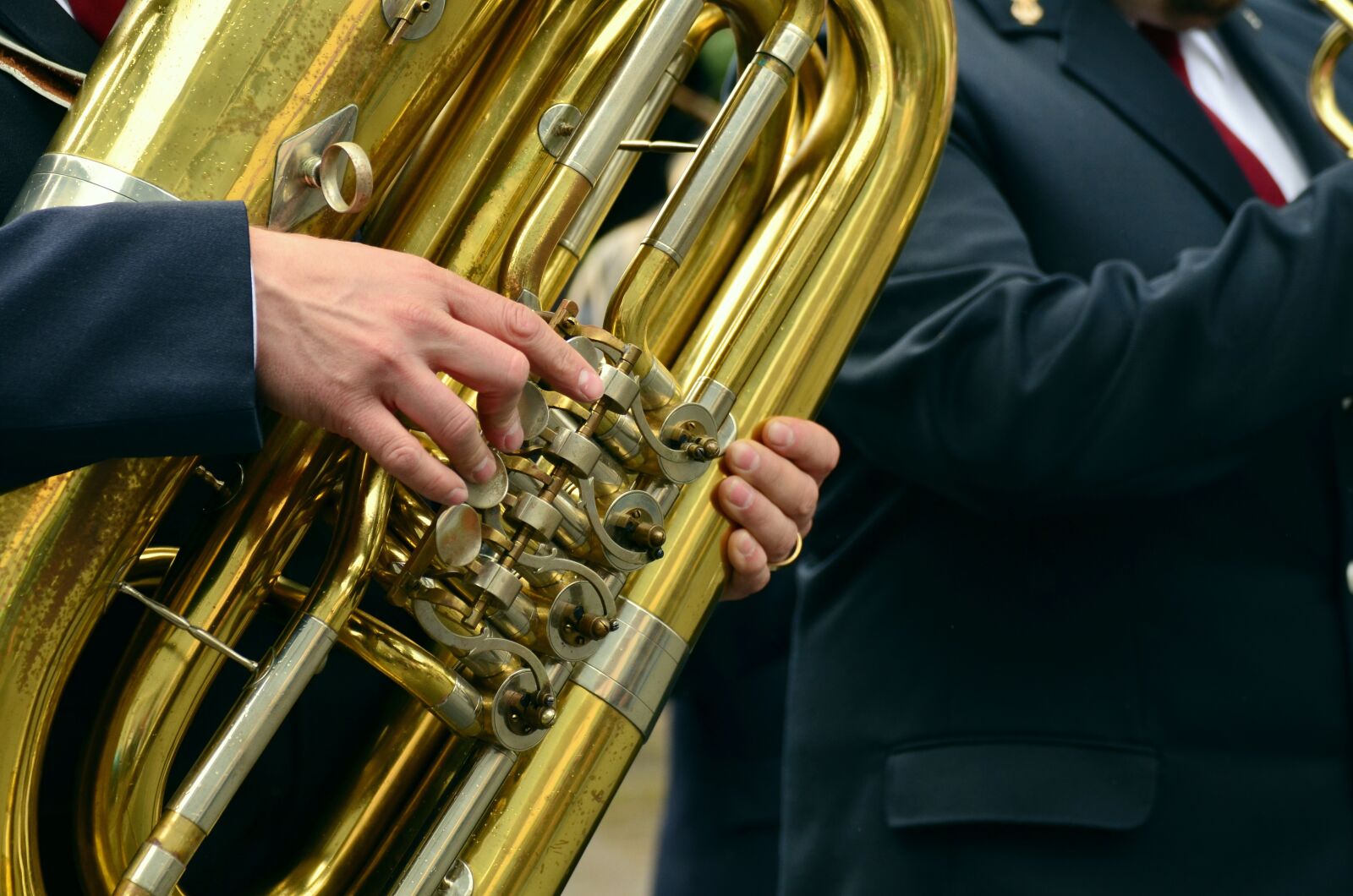 Nikon D5100 sample photo. Hands, musical instrument, tuba photography
