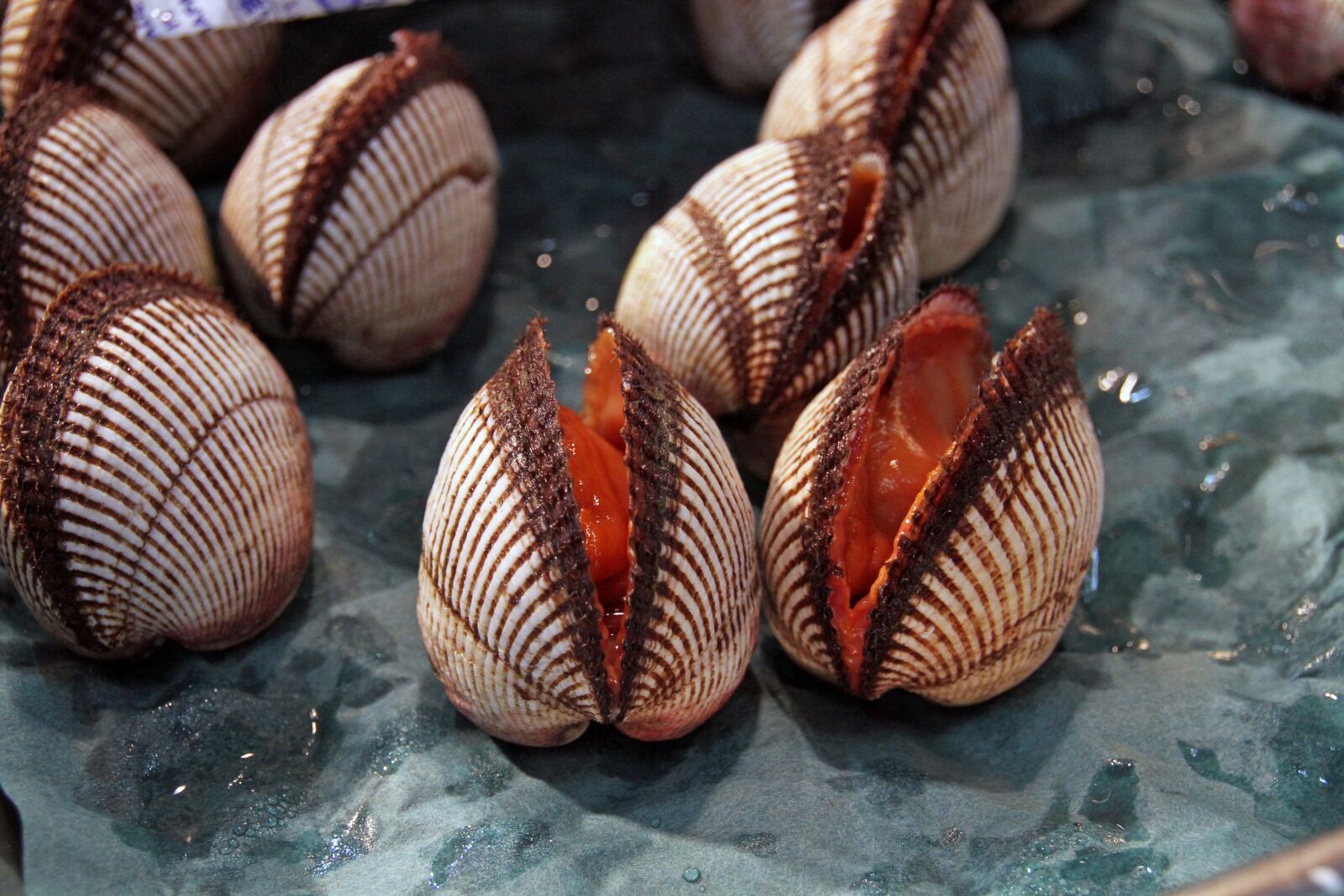Canon EOS 7D sample photo. Tokyo, fish, market photography